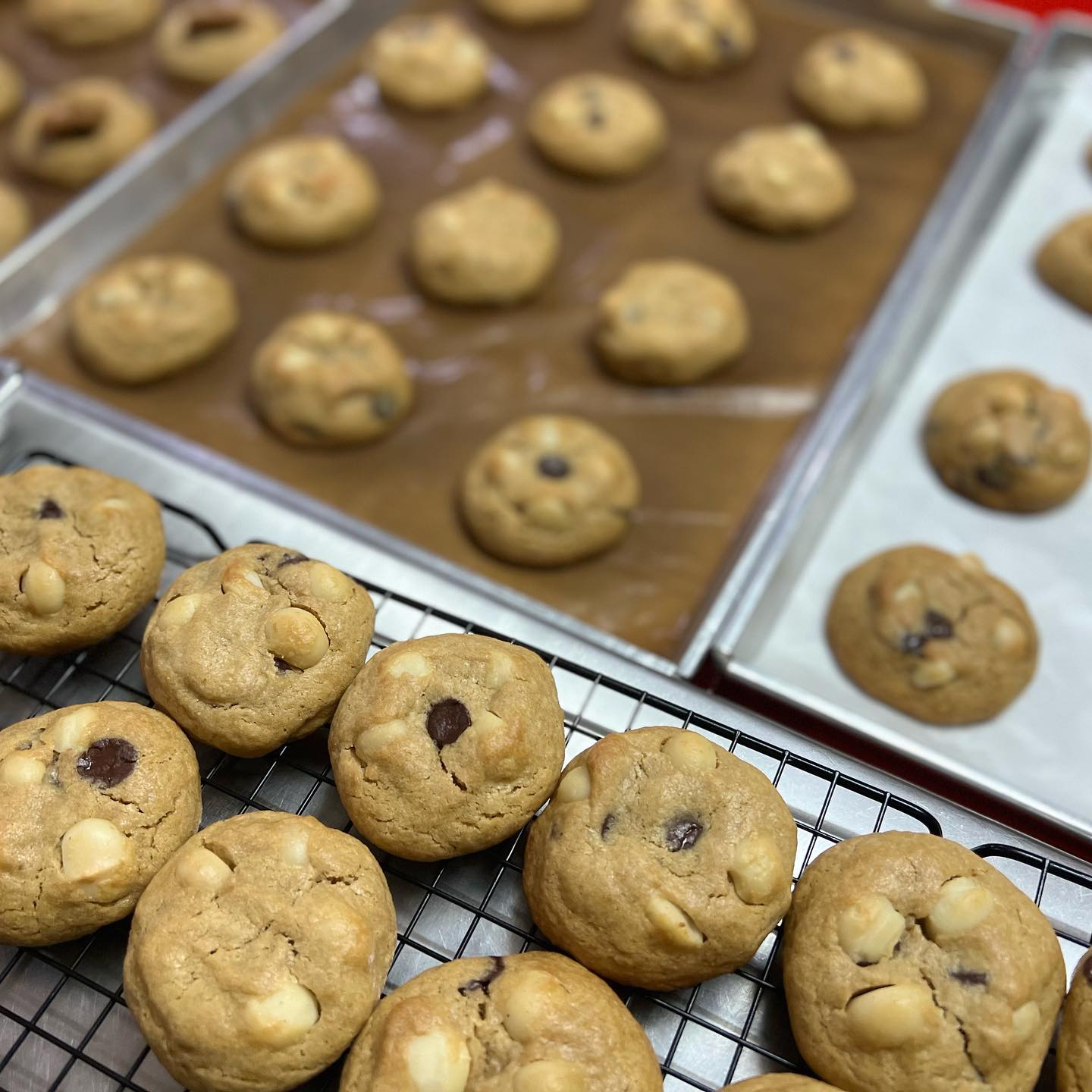 ก๋วยเตี๋ยวผัดงี่เง่า at เจ๊เบญ โอเดี้ยน, ร้านฮั้นโภชนา, เจ๊เฮี้ยง ก๋วยเตี๋ยวลูกชิ้นปลา ตลาดน้อย, ข้าวต้มปลาตลาดน้อย, Baan Chim Cha, อาฉีไก่ทอด, มานพ สุกี้รถกระบะ, แดงราชาหอยทอด, โจ๊ก เจ๊หมวยเกี้ย-ดั้งเดิม, เป็ดตุ๋นเจ้าท่า, ซี่โครงปราณ, คุณปุ๊กะหรี่ปั๊บ ณ ตลาดน้อย, แต้เล่าจิ้นเส็ง, Li Bing Waffle Parlour, Mana Craft, Jap Bread ตลาดน้อย, ฮงเซียงกง