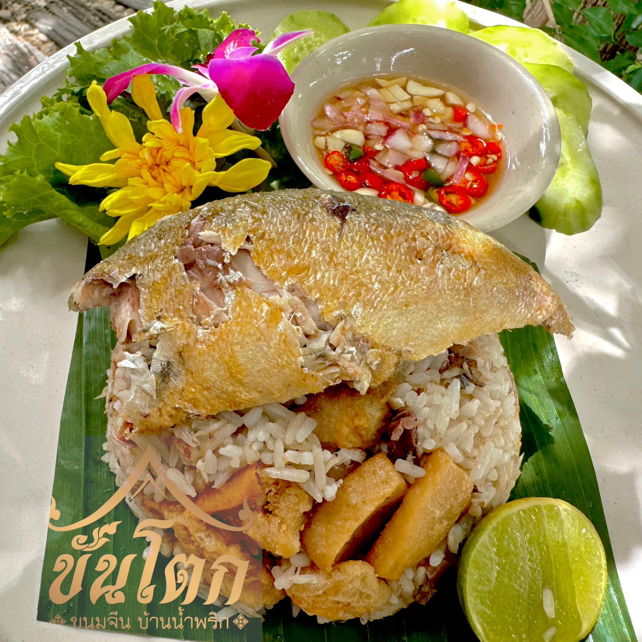 เฮือนขันโตก ขนมจีน บ้านน้ำพริก, Mira Cuisine, ถึงเจียงใหม่ คิทเช่น อาหารเหนือ, สบันงา, คุ้มขันโตก, ลำแต๊ๆ, หอมป้อมหอมเป, บ้านขันโตกฮาลาล