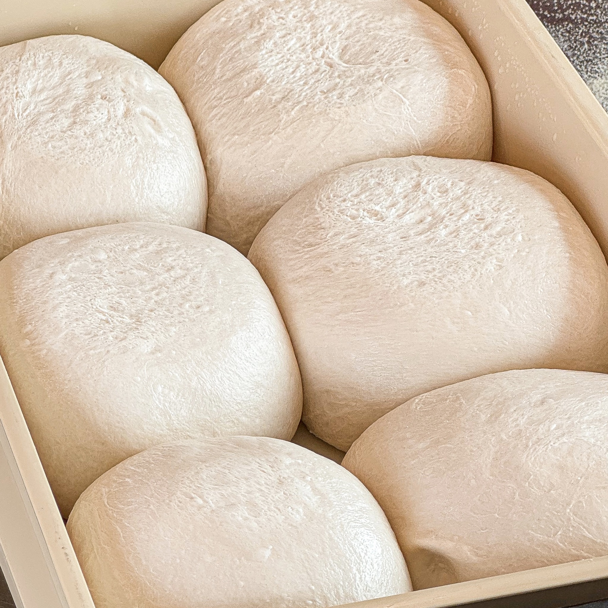 Pizzeria Limoncello, เชฟถนอม, กลมกล่อม BY CHEF AKE, Ciao Pizza, Pizza Aroy, Pizza Massilia, Grazie Pizzeria, The Garden Dough, Lanta Pizzeria, Mama Dolores, PizzaPazza, Dressage Horse Café, Pizzazo, Shelter Pizza พิซซ่าเตาถ่าน