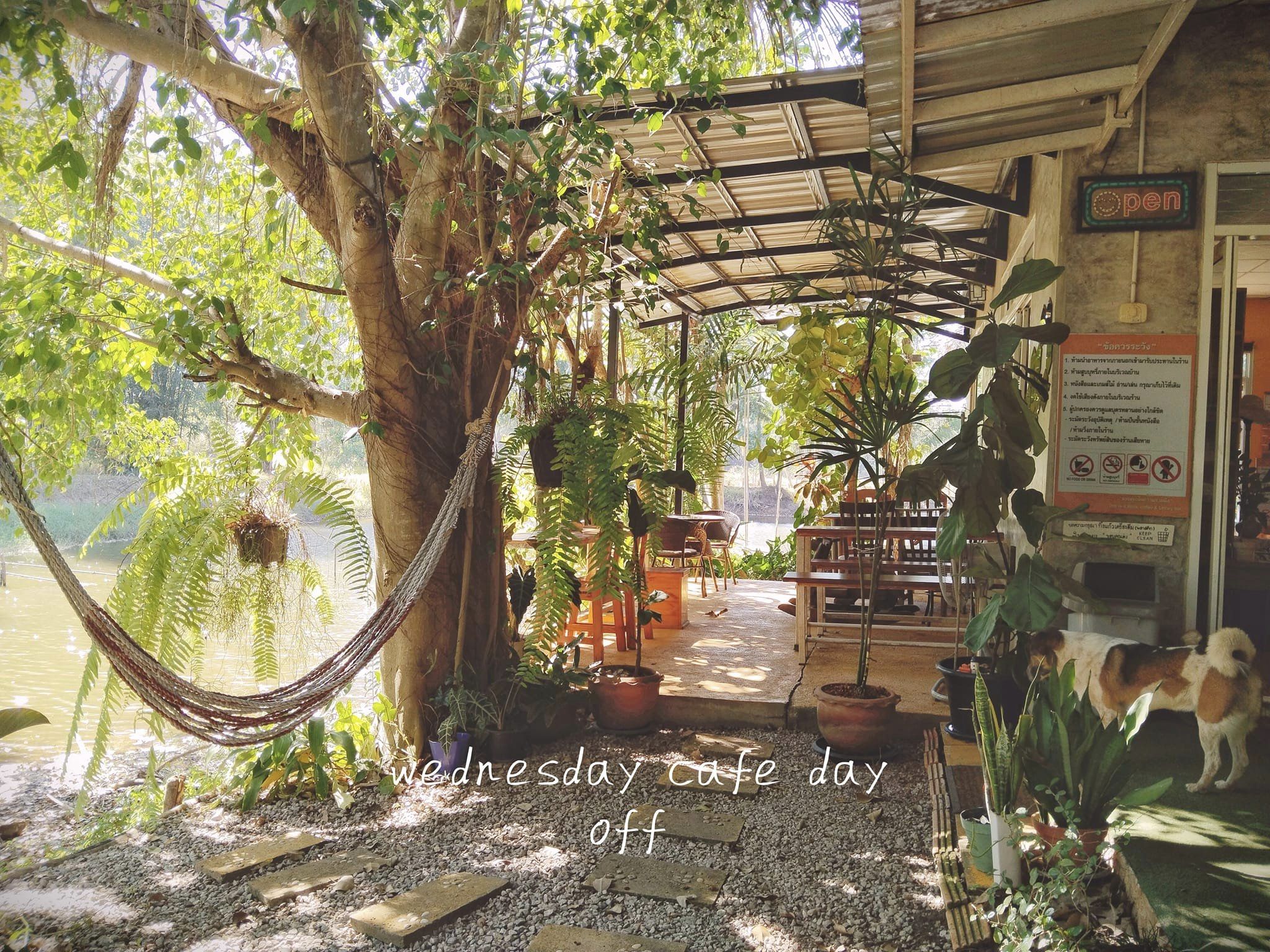 Simple Things, Mindset Cafe, GIVEANDTAKE Cafe House, เถียงนา Coffee and Bakery Farm, TARA Kaffee&amp;Patisserie', Mood Cafe, View doi Coffee Home, One Day One Cafe', สวนพร้าว คาเฟ่, A Little Craft Cafe, Braverly, สวนป่าตากา คาเฟ่, SOON CAFE, Ava Cafe’, Charfinn cafe’, PlumucH, Harmonica 2, River Bar Cafe, Chavee Cafe, TonTong Cafe, สวนเหนือกาแฟ, Diff desofto, สายหวานคาเฟ่, Kyoto Shi Cafe, DRIP GAN, Move on - มูฟออน