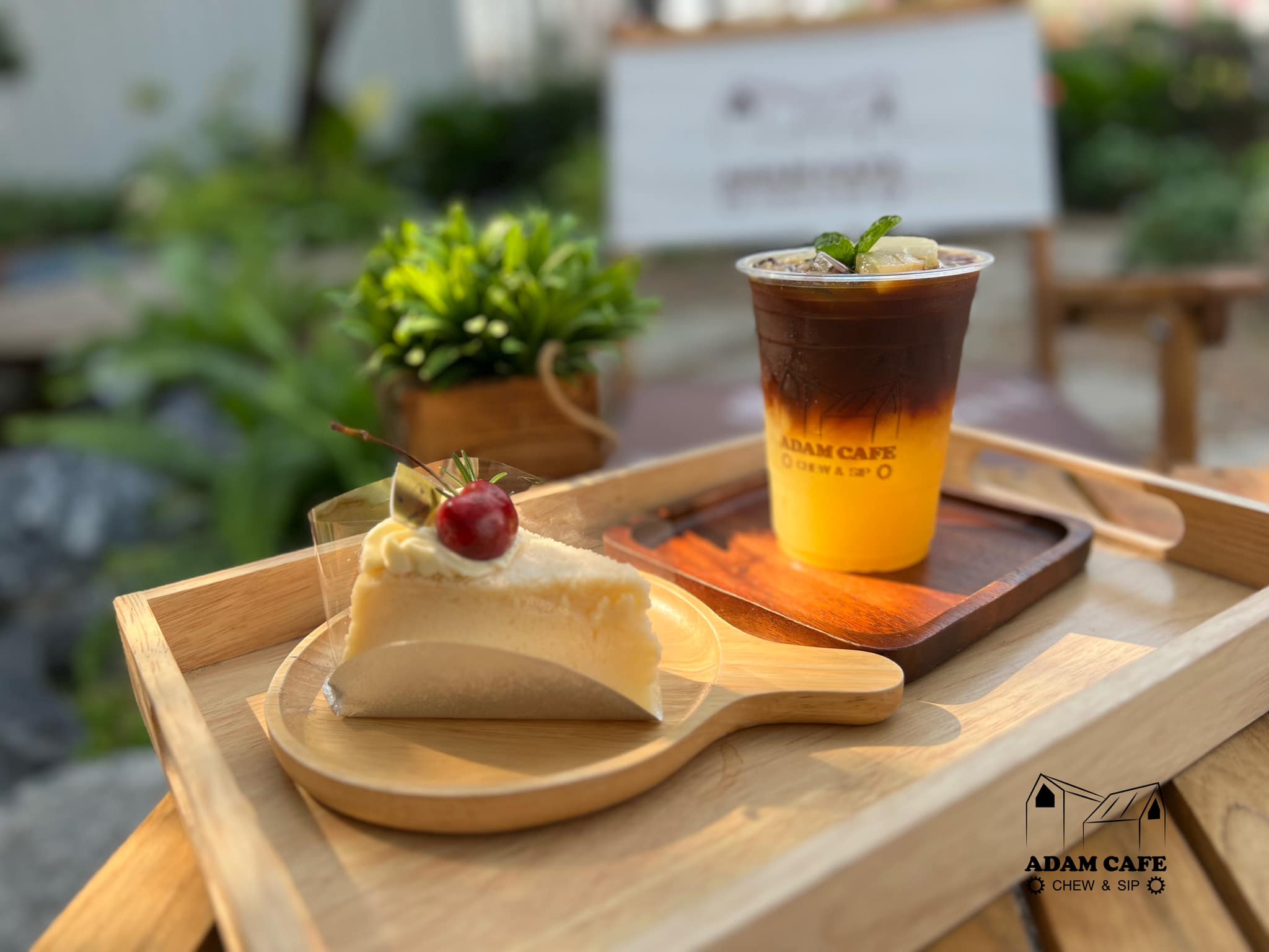 Smitten Cafe and Decor, Thong Ampai Café, THREE Cafe, Continue.cafe, Sunday in 345 cafe, Aprilhouse, The Aileen Cafe', Oliva Cafe, The Kottage Cafe, Plant Cafe, ปิ่นโตนามีตาล, Baan Kanom De'Pathum, Pumpkin Art Town, Mushroom Hut Cafe, KAD Cafe - กาด คาเฟ่, ADAM cafe