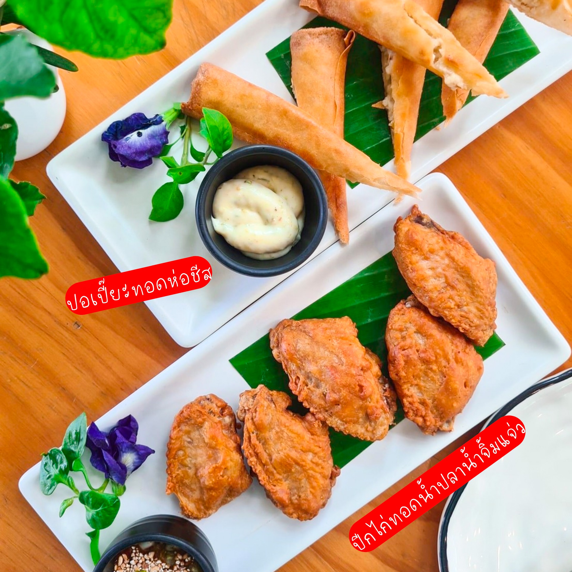 The Sine Cafe’, Whispering cafe, รักษ์น้ำคาเฟ่, Orenchi Cafe, KAWA Coffee and Co., Orenchi Specialty Coffee, Attitude Coffee, Memory House Cafe, In Garden Hut Cafe, ChataThammachart, She's The Legend Cafe, RIVA floating cafe, Good Mood House, นึก คาเฟ่ - วัดไร่ขิง, Ton Khao Terrace, CHADA Tea Boutique, Kark Crof.f