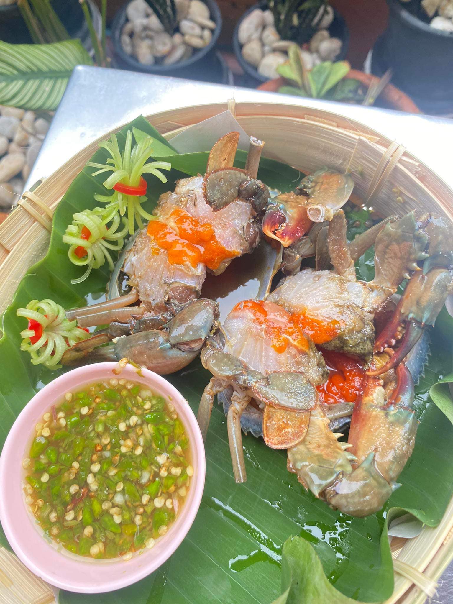 Pop View, ครัวบ้านกลางทะเล, Ripple Sea, ร้านลับหมึกช๊อต อ่าวอุดมซอย17, ร้านป๋าดำซีฟู้ด, ป้าแอ๊ดซีฟู๊ด, ติดดินซีฟู้ด, มุมอร่อย ศรีราชา, TOH CREW, เรือนน้ำซีฟู๊ด ศรีราชา, ครัวทะเล จันผา, ร้านอาหาร เฒ่าทะเล ซีฟู๊ด อ่าวอุดม, ร้านป้อมกินแล้วรวย