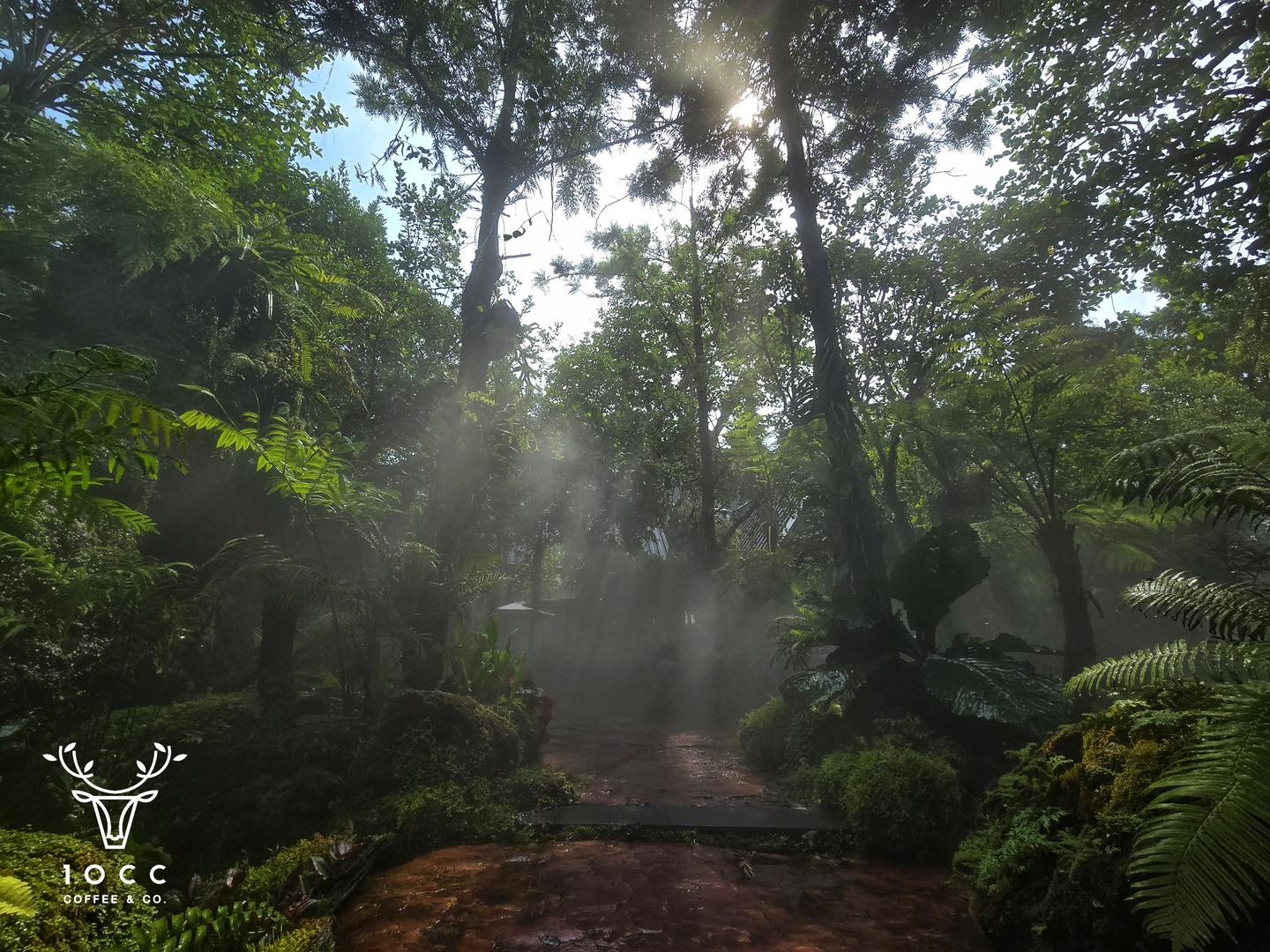 Hansacafe.food.garden, Green House Bistro, BECX, Plantnery Green Café, Langbaan cafe&amp;chill, ฉลู คาเฟ่, Mom’s Veggie Cafe, Another Home Cafe, Me Long Cafe, ร.เรือตัวอ้วน, Slot Co-Working Space, Mitte Coffee, Mita Coffee and Art, Bluebell Café, 10cc Coffee