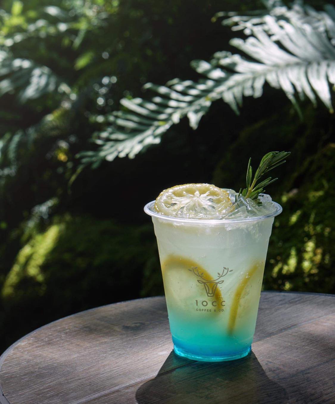 Hansacafe.food.garden, Green House Bistro, BECX, Plantnery Green Café, Langbaan cafe&amp;chill, ฉลู คาเฟ่, Mom’s Veggie Cafe, Another Home Cafe, Me Long Cafe, ร.เรือตัวอ้วน, Slot Co-Working Space, Mitte Coffee, Mita Coffee and Art, Bluebell Café, 10cc Coffee