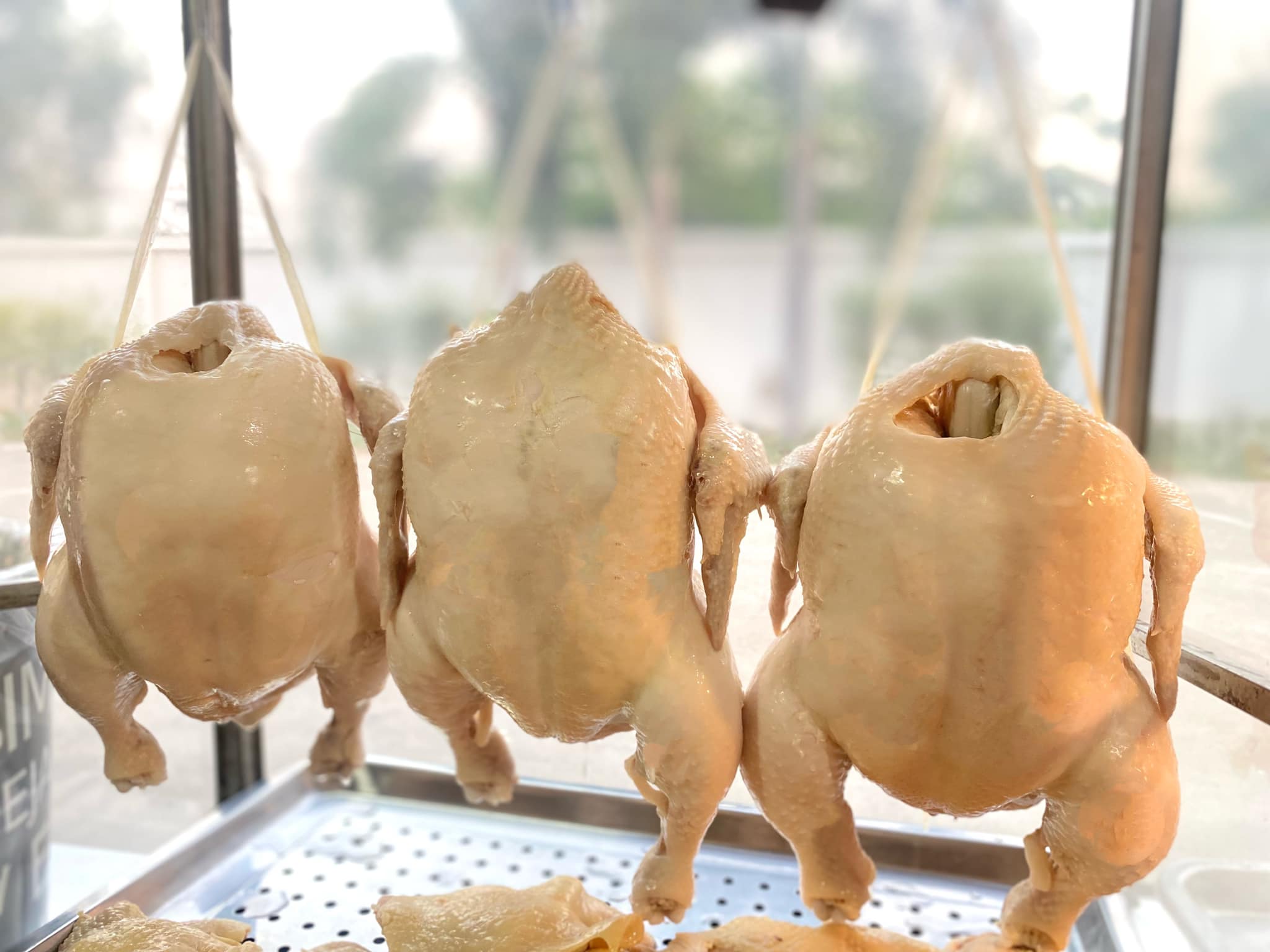 ร้านข้าวมันไก่เจี๊ยะโกยปึ่ง, รสนิยมข้าวมันไก่, สาขา 2, โจ๊ก9บาท ป๊อกแป๊ก, ครัวกิตติพร, ขาหมู จูเจี่ยว 猪脚, ต้มเลือดหมู เลิศสุธารส, บ.หินกองต้มเลือดหมู&amp;กะเพราเป็ด, บ้านซาลาเปา สระบุรี, ญวน, ราดหน้าเลี่ยวตังไล้, โกจิวข้าวมันไก่ตอน, E-PED eatery, Pita Cafe’ &amp; Eatery, เอกรส, ข้าวแกงครัวไทย ป้าเบี้ยว-ลุงเปี๊ยก, โจ๊กแม่กุหลาบ &amp; ก๋วยเตี๋ยวเนื้อวัวนายเฮง