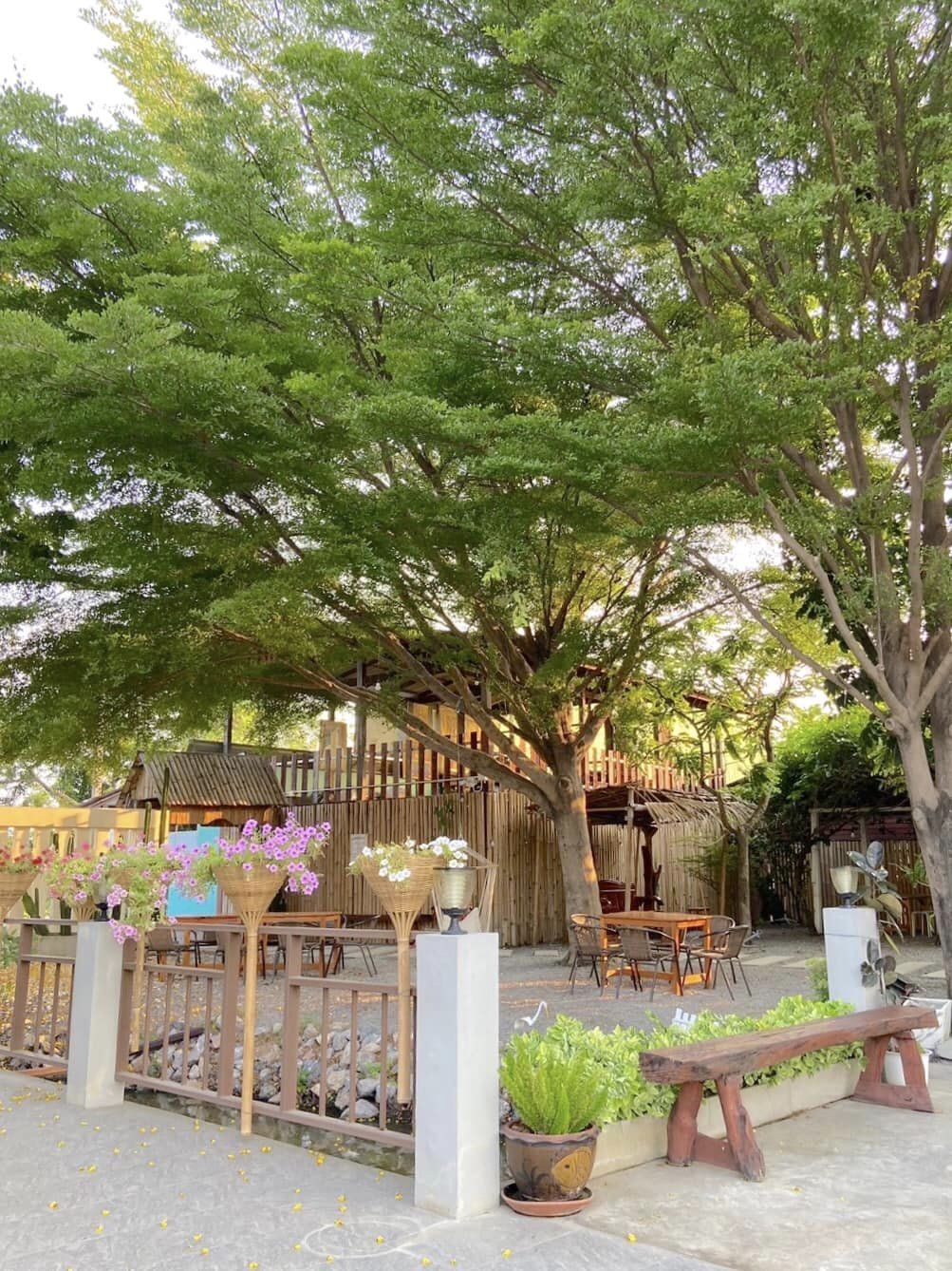 เรือนชายน้ำ Cafe&amp;Restaurant, ban.jingjo, See Sea Sun - แบบง่ายๆ, ขวัญข้าว ริเวอร์ไซด์, The sunflower cafe, KokoroCafe', FREJA Coffee &amp; Co, Rays River Cafe, Behind The Beans, พร้าวหอมคาเฟ่, Kinlamoon, House Cafe', บ้านสวนพาฝัน, La Bella Cafe, PakPap Cafe, ขมุน คาเฟ่ มหาชัย, Baanthaicafe, ดีกัน คาเฟ่, COCO CAFE'