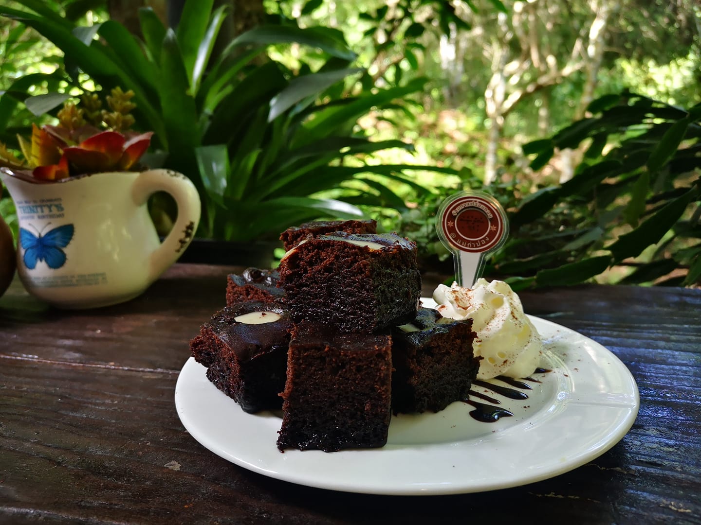 บ้านอิงดาว แม่กำปอง, Ma Du Doi Coffee แม่กำปอง, Teddu Coffee - Baansuphanbhum, ชมนกชมไม้, บ้านพักลุงปุ๊ด &amp; ป้าเป็ง แม่กำปอง, Pirunya Coffee, ร้านกาแฟฮ่อมดอย &amp; อาร์ตแกลเลอรี่ แห่งขุนเขา แม่กำปอง, บ้านหลงเขา แม่กำปอง &amp; ฮักเขา ฟาร์มสเตย์, ระเบียงวิวแม่กำปอง, ณ แม่กำปอง ร้านอาหารแม่กำปอง