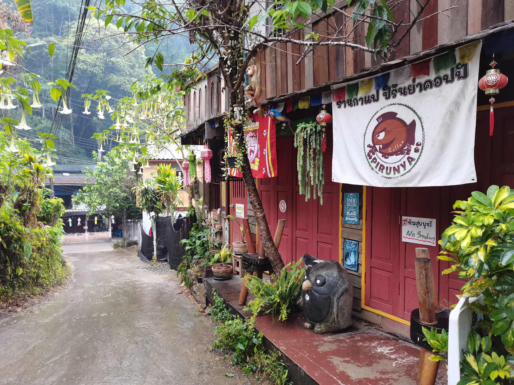 บ้านอิงดาว แม่กำปอง, Ma Du Doi Coffee แม่กำปอง, Teddu Coffee - Baansuphanbhum, ชมนกชมไม้, บ้านพักลุงปุ๊ด &amp; ป้าเป็ง แม่กำปอง, Pirunya Coffee, ร้านกาแฟฮ่อมดอย &amp; อาร์ตแกลเลอรี่ แห่งขุนเขา แม่กำปอง, บ้านหลงเขา แม่กำปอง &amp; ฮักเขา ฟาร์มสเตย์, ระเบียงวิวแม่กำปอง, ณ แม่กำปอง ร้านอาหารแม่กำปอง