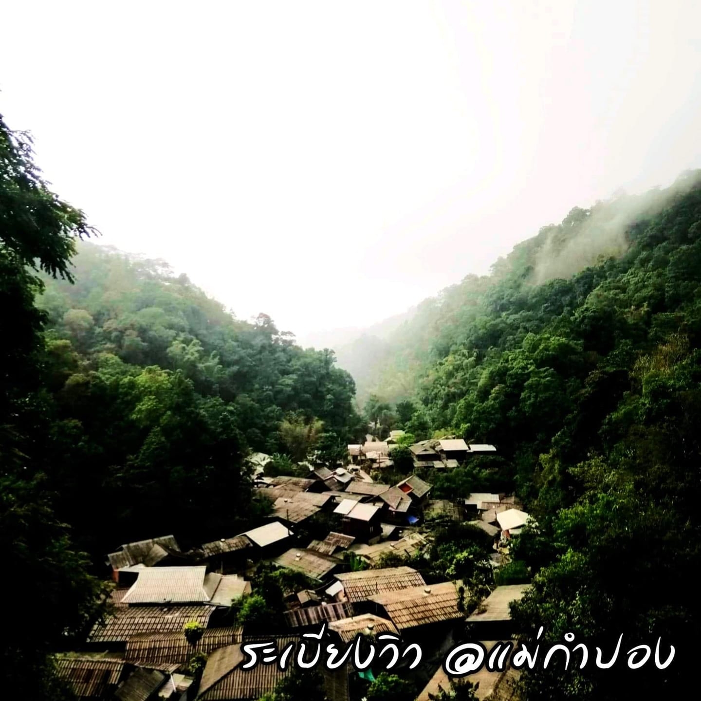 บ้านอิงดาว แม่กำปอง, Ma Du Doi Coffee แม่กำปอง, Teddu Coffee - Baansuphanbhum, ชมนกชมไม้, บ้านพักลุงปุ๊ด &amp; ป้าเป็ง แม่กำปอง, Pirunya Coffee, ร้านกาแฟฮ่อมดอย &amp; อาร์ตแกลเลอรี่ แห่งขุนเขา แม่กำปอง, บ้านหลงเขา แม่กำปอง &amp; ฮักเขา ฟาร์มสเตย์, ระเบียงวิวแม่กำปอง, ณ แม่กำปอง ร้านอาหารแม่กำปอง