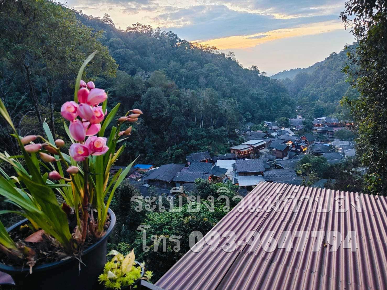 บ้านอิงดาว แม่กำปอง, Ma Du Doi Coffee แม่กำปอง, Teddu Coffee - Baansuphanbhum, ชมนกชมไม้, บ้านพักลุงปุ๊ด &amp; ป้าเป็ง แม่กำปอง, Pirunya Coffee, ร้านกาแฟฮ่อมดอย &amp; อาร์ตแกลเลอรี่ แห่งขุนเขา แม่กำปอง, บ้านหลงเขา แม่กำปอง &amp; ฮักเขา ฟาร์มสเตย์, ระเบียงวิวแม่กำปอง, ณ แม่กำปอง ร้านอาหารแม่กำปอง