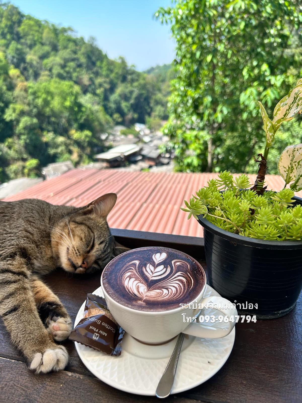 บ้านอิงดาว แม่กำปอง, Ma Du Doi Coffee แม่กำปอง, Teddu Coffee - Baansuphanbhum, ชมนกชมไม้, บ้านพักลุงปุ๊ด &amp; ป้าเป็ง แม่กำปอง, Pirunya Coffee, ร้านกาแฟฮ่อมดอย &amp; อาร์ตแกลเลอรี่ แห่งขุนเขา แม่กำปอง, บ้านหลงเขา แม่กำปอง &amp; ฮักเขา ฟาร์มสเตย์, ระเบียงวิวแม่กำปอง, ณ แม่กำปอง ร้านอาหารแม่กำปอง