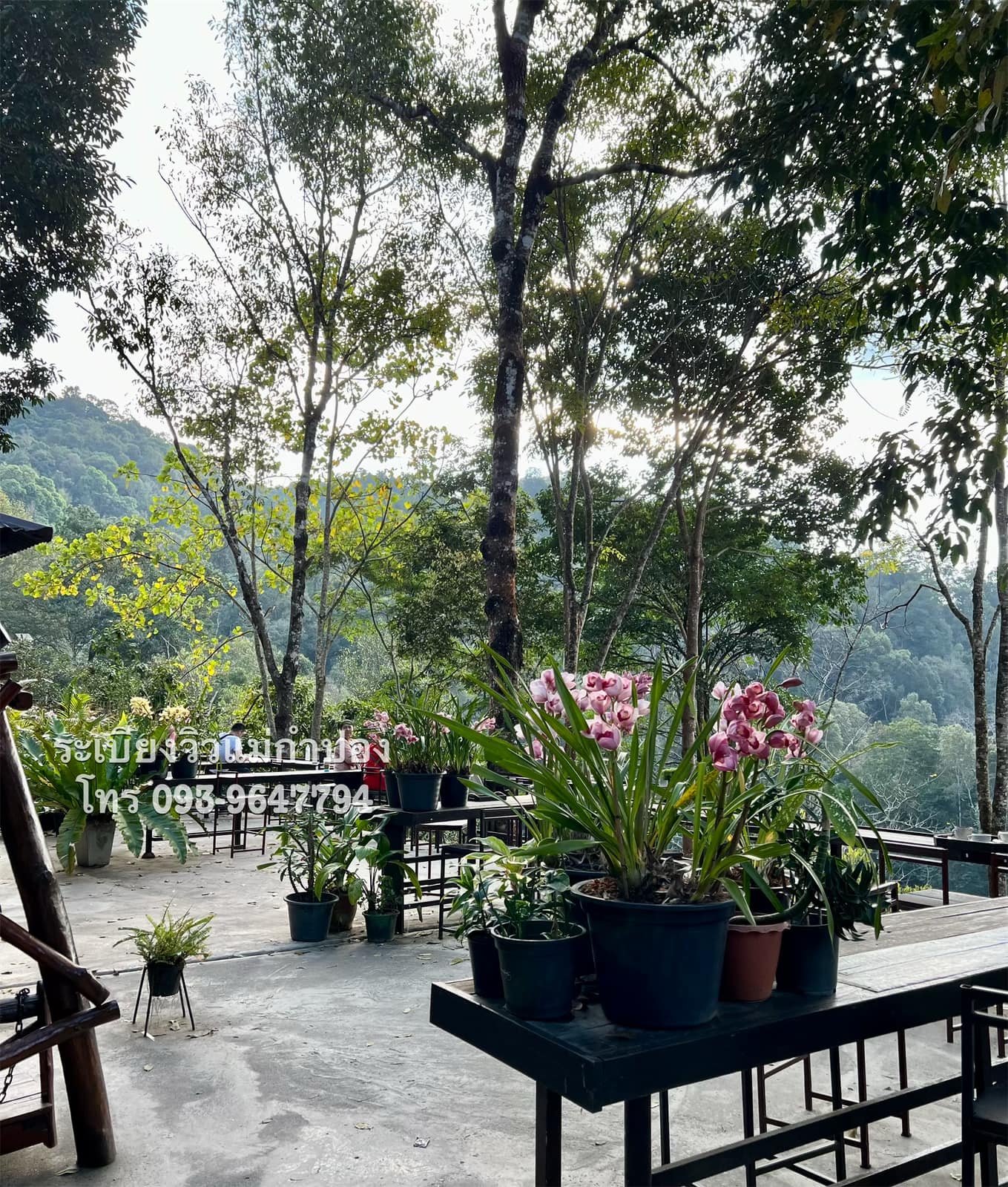 บ้านอิงดาว แม่กำปอง, Ma Du Doi Coffee แม่กำปอง, Teddu Coffee - Baansuphanbhum, ชมนกชมไม้, บ้านพักลุงปุ๊ด &amp; ป้าเป็ง แม่กำปอง, Pirunya Coffee, ร้านกาแฟฮ่อมดอย &amp; อาร์ตแกลเลอรี่ แห่งขุนเขา แม่กำปอง, บ้านหลงเขา แม่กำปอง &amp; ฮักเขา ฟาร์มสเตย์, ระเบียงวิวแม่กำปอง, ณ แม่กำปอง ร้านอาหารแม่กำปอง