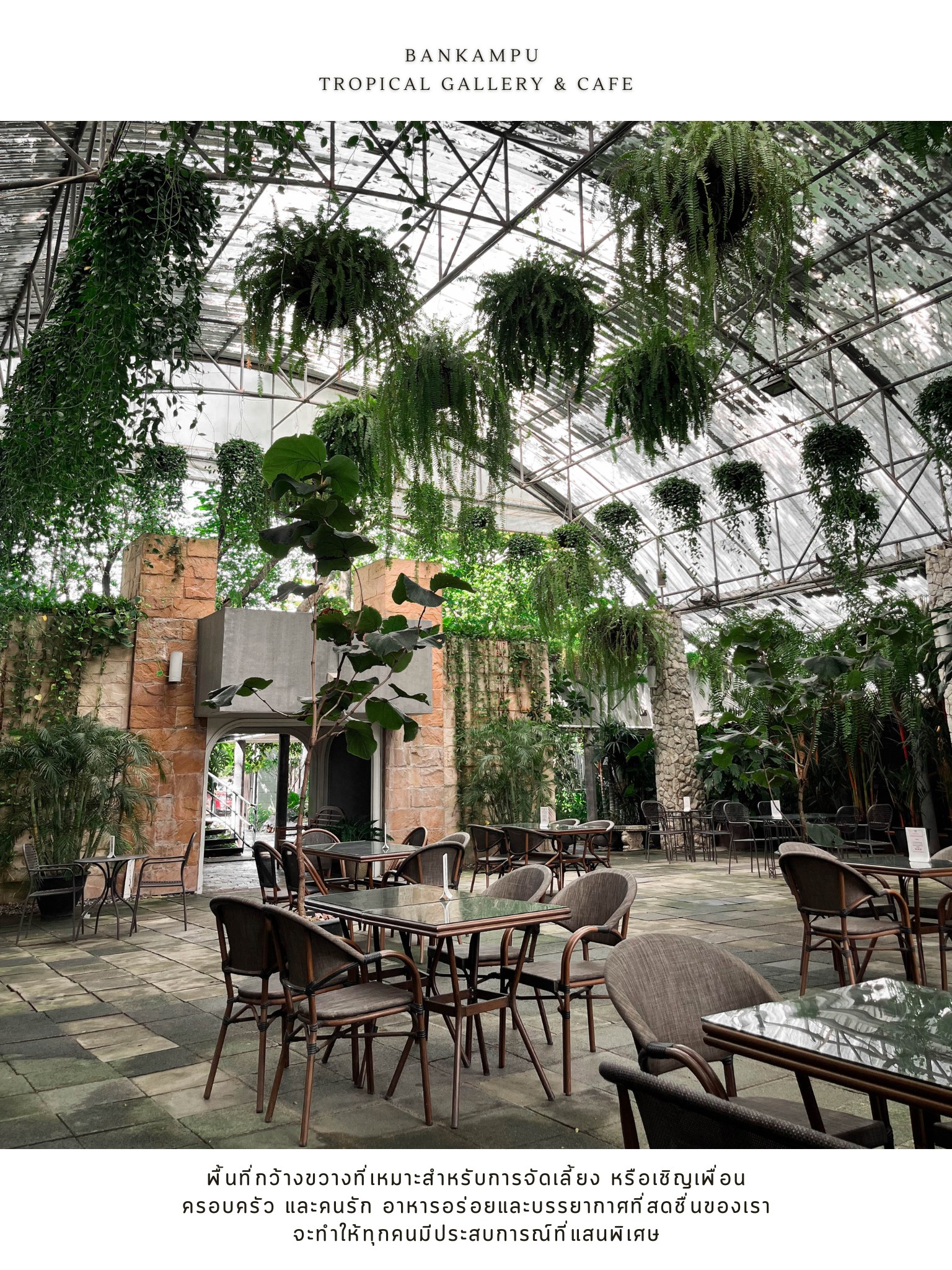 Midwinter, Dandelion Bake Studio, Cafe Reverie, Portobello &amp; Désiré, Level 50 by SEE FAH, Siam Yacht Club, Blue Sky, at Centara Grand, Mezzaluna Restaurant