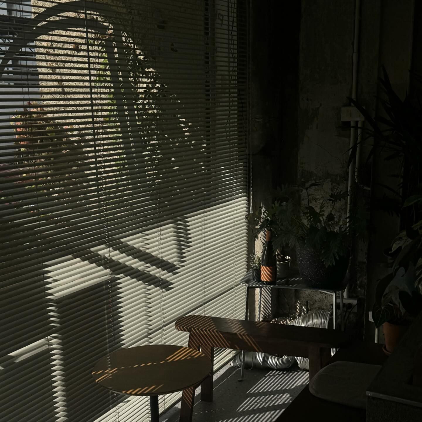 Phumjai Crepe • ภูมิใจเครป, เครปเย็นโครตไส้ ตลาดอินดี้ปิ่นเกล้า, เครปบุฟเฟต์ สายไหมอเวนิว, ร้านป้านายเครปเย็น I creamy crepe, เครปเย็น หน้าวัง, เครปเย็น โทสต์ ร้านป้อนคำหวาน กรู๊ฟมาร์เก็ต, YOTHA CREPE, เครปสมหวัง, Olino Crepe &amp; Tea