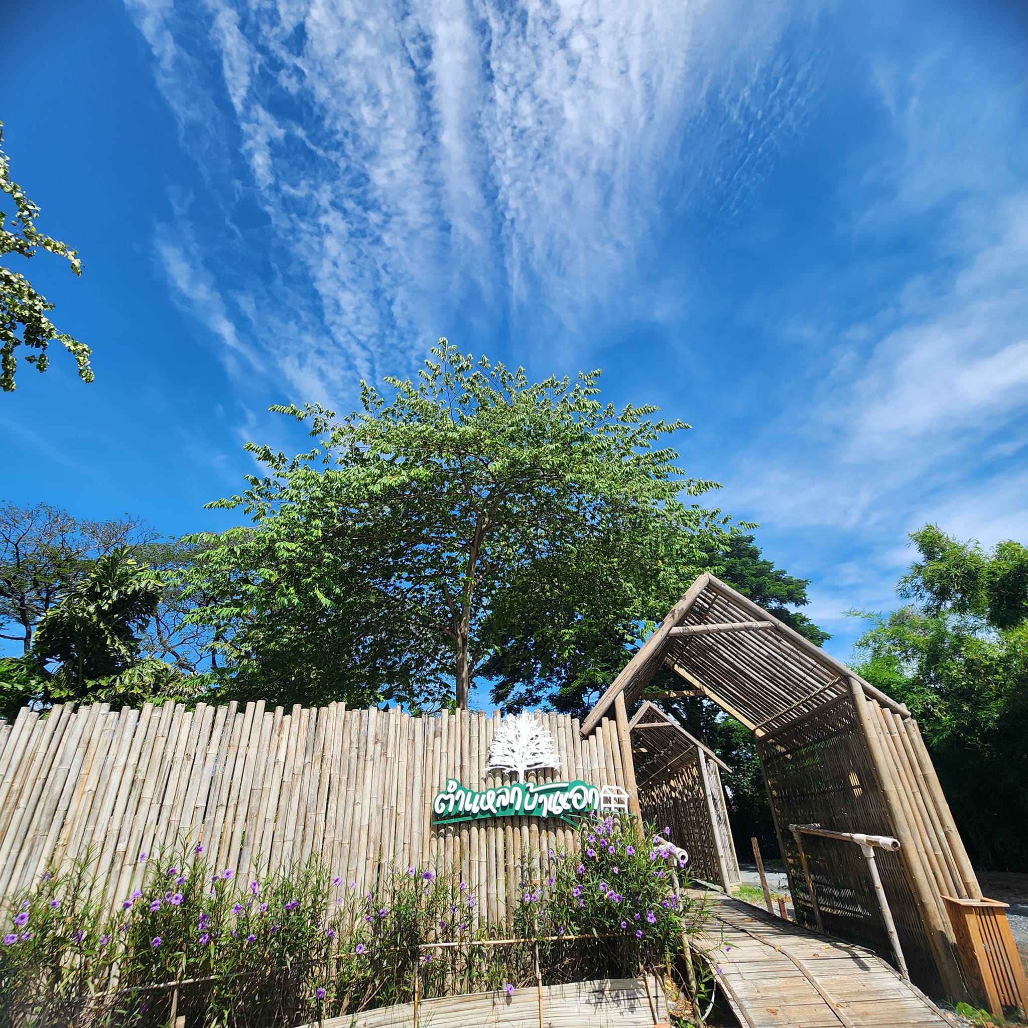 ครัวจำแลง แปลงกาย, Tairyo Sushi, สาขารามคำแหง, เรือนภูคำ, ติ่งไท้ ฝู, ก๋วยเตี๋ยวกระดูกหมูป้ายเหลือง ลุงจำเนียร, ระเบียงบัง, See 180, แกงป่า, หนึ่งปูม้าทะเลเผา , ตำแหลกบ้านนอก