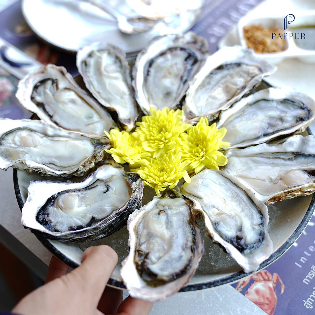 Papper Inter Buffet Korat, Fin Sushi, So-Shabuki restaurant, House of Kin Korat