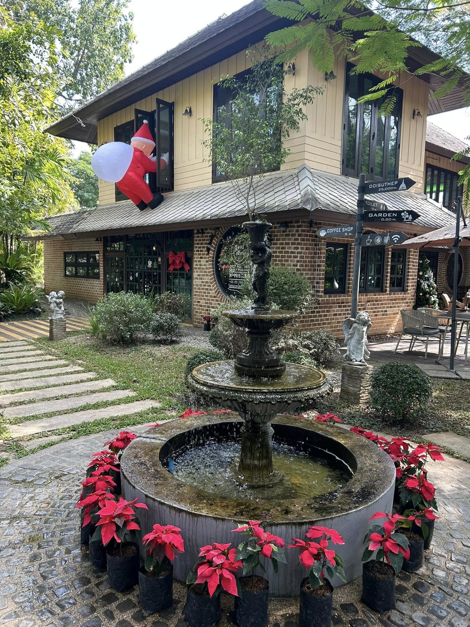 Treespresso cafe, Vigie Sist Café, Aki Choux Cream, Polaris Sunrise Café, MOJI Pool.Villa.icecream, MYTH OVEN, KonJohn coffee slowbar, Eleven Pillar Site, Home’S, Koffandthings.th, Playworks.cafeart, Tree of Life Cafe, Kramfeine, Millilit Cafe, TOMATO.cafe.cnx, MITTE MITTE, Soul Café mju, ZOHNG Coffee, ALSO cafe, Coffee Ngeggee, Graincafe.cnx, Later on cafe, สุขพอดี, FERN FOREST CAFÉ, Forest Bake, ภูฟิน, CHEEVIT CHEEVA, GoodVibes Cafe-Cnx, Chic 39, Zombie Café, Ristr8to, Neo Cafe', ชมนกชมไม้, เก้าคาเฟ่ นิมมาน