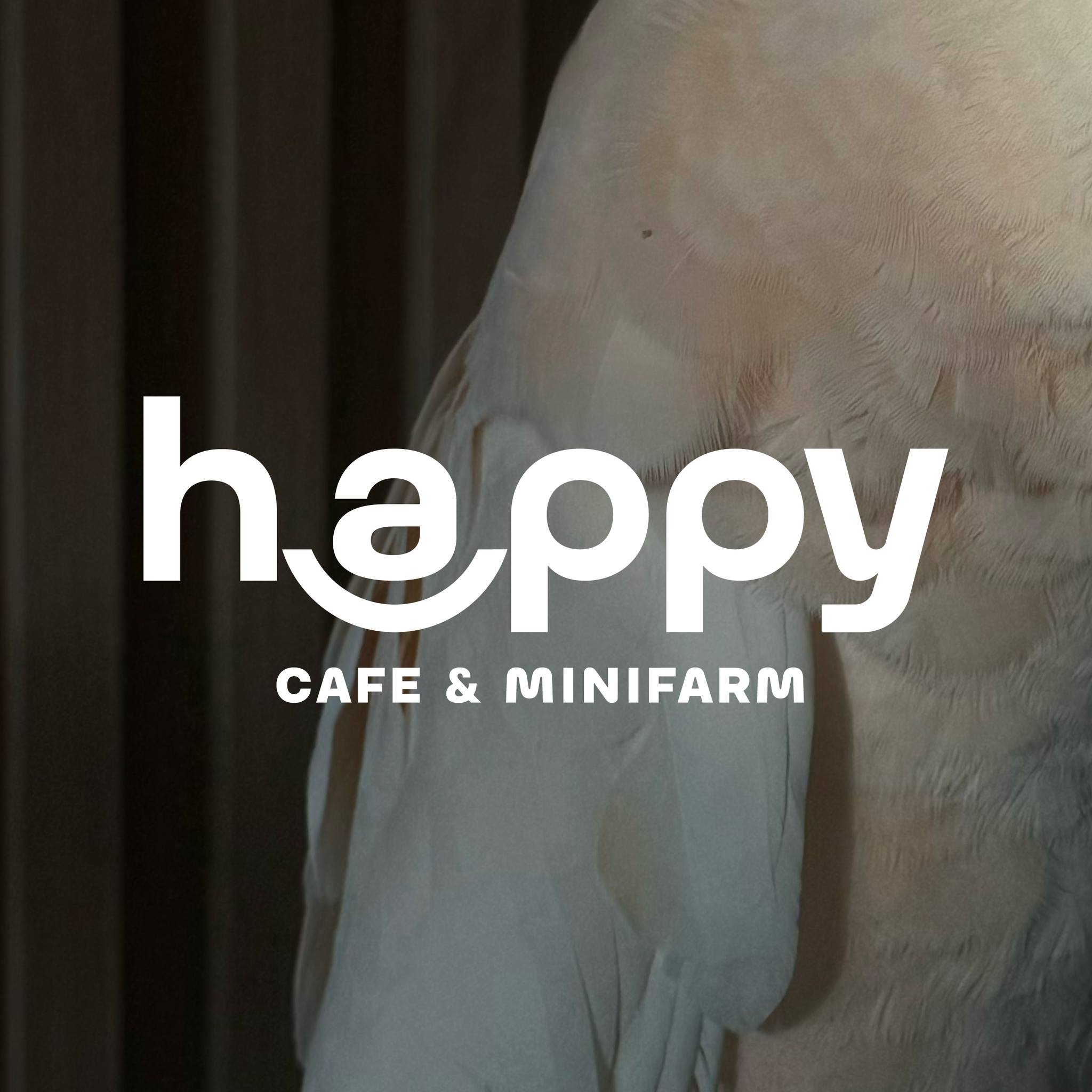 MOONSTo̲̲NE, Bread Crumbs Cafe, Happy Cafe and Minifarm, เสื่อผืน หมอนใบ, WA-Phuket, Honest Coffee &amp; Service, Grove Phuket, RYN, DouBrew Coffee &amp; Craft, The Tent, หนัง(สือ)2521