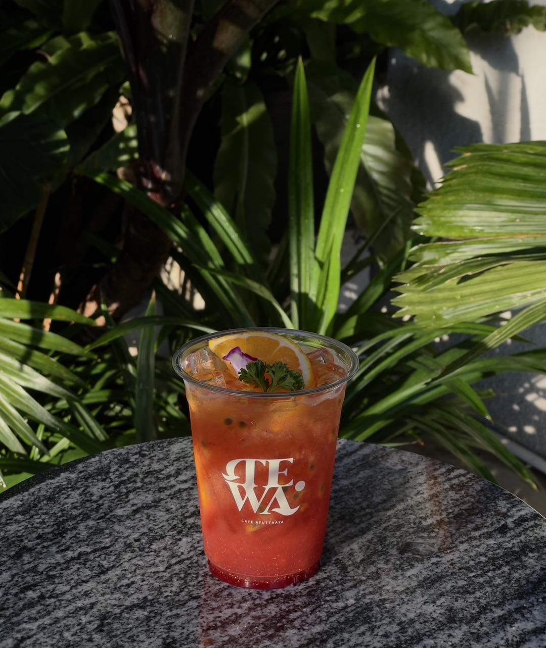 NAYA Cafe, Krasai.cafe, Sanoh at Ayutthaya, ชีวาคาเฟ่, FENG, Tewa Cafe Ayutthaya, Homeboy, PRANG VIEW, Peko Peko Cafe - ペ コ ペ コ, A Lovely Table, Busaba Cafe &amp; Meal, WIWA House Cafe', The Summer House, Phoyard, Cafe' de Zia, Café Kantary Ayutthaya, บ้านข้าวหนม, Basic Space Coffee, Cafe'Trifecta, ในคลองคาเฟ่, ไม้ขาวคาเฟ่ ayutthaya, ชงนวล'Cafe