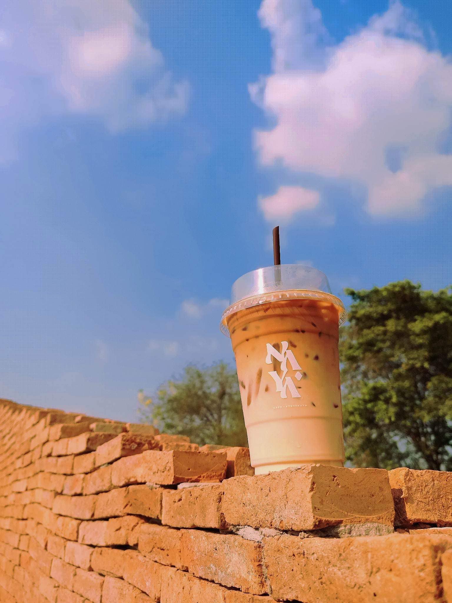 NAYA Cafe, Krasai.cafe, Sanoh at Ayutthaya, ชีวาคาเฟ่, FENG, Tewa Cafe Ayutthaya, Homeboy, PRANG VIEW, Peko Peko Cafe - ペ コ ペ コ, A Lovely Table, Busaba Cafe &amp; Meal, WIWA House Cafe', The Summer House, Phoyard, Cafe' de Zia, Café Kantary Ayutthaya, บ้านข้าวหนม, Basic Space Coffee, Cafe'Trifecta, ในคลองคาเฟ่, ไม้ขาวคาเฟ่ ayutthaya, ชงนวล'Cafe