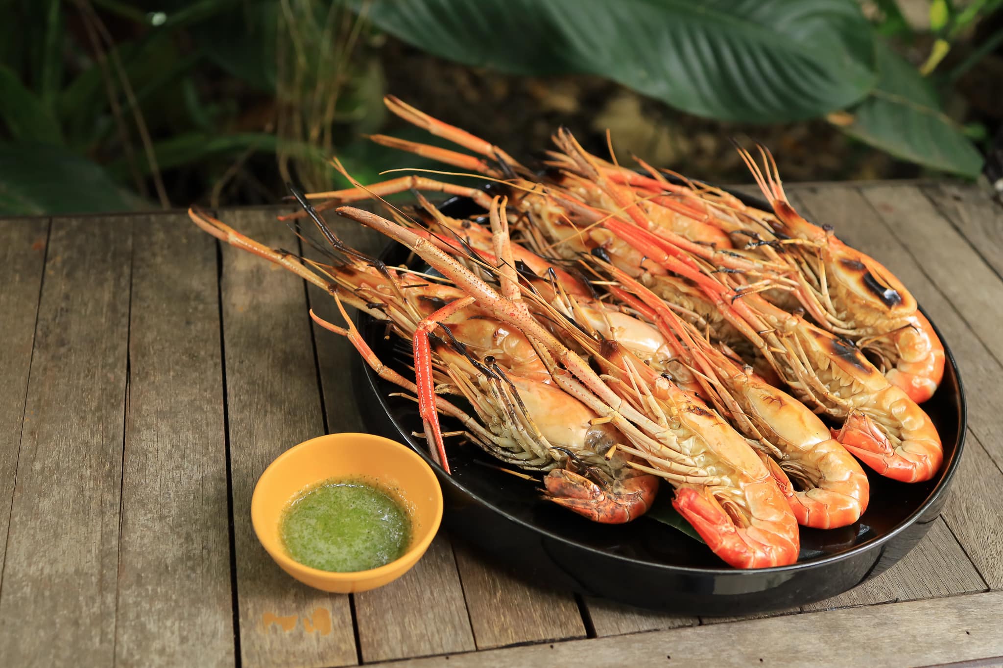 บ้านสวย ในสวน, Siam Brasserie , The Treehouse Nongchok, Natura Cafe, BaanNaiSuan Cafe&amp;Yoga, Patom, Portobello &amp; Désiré, ครัวบ้านสวนสุวรรณ, ร้านอาหารฐิตารีย์ สวนรถไฟ จตุจักร, บ้านสวน อบอวลรัก