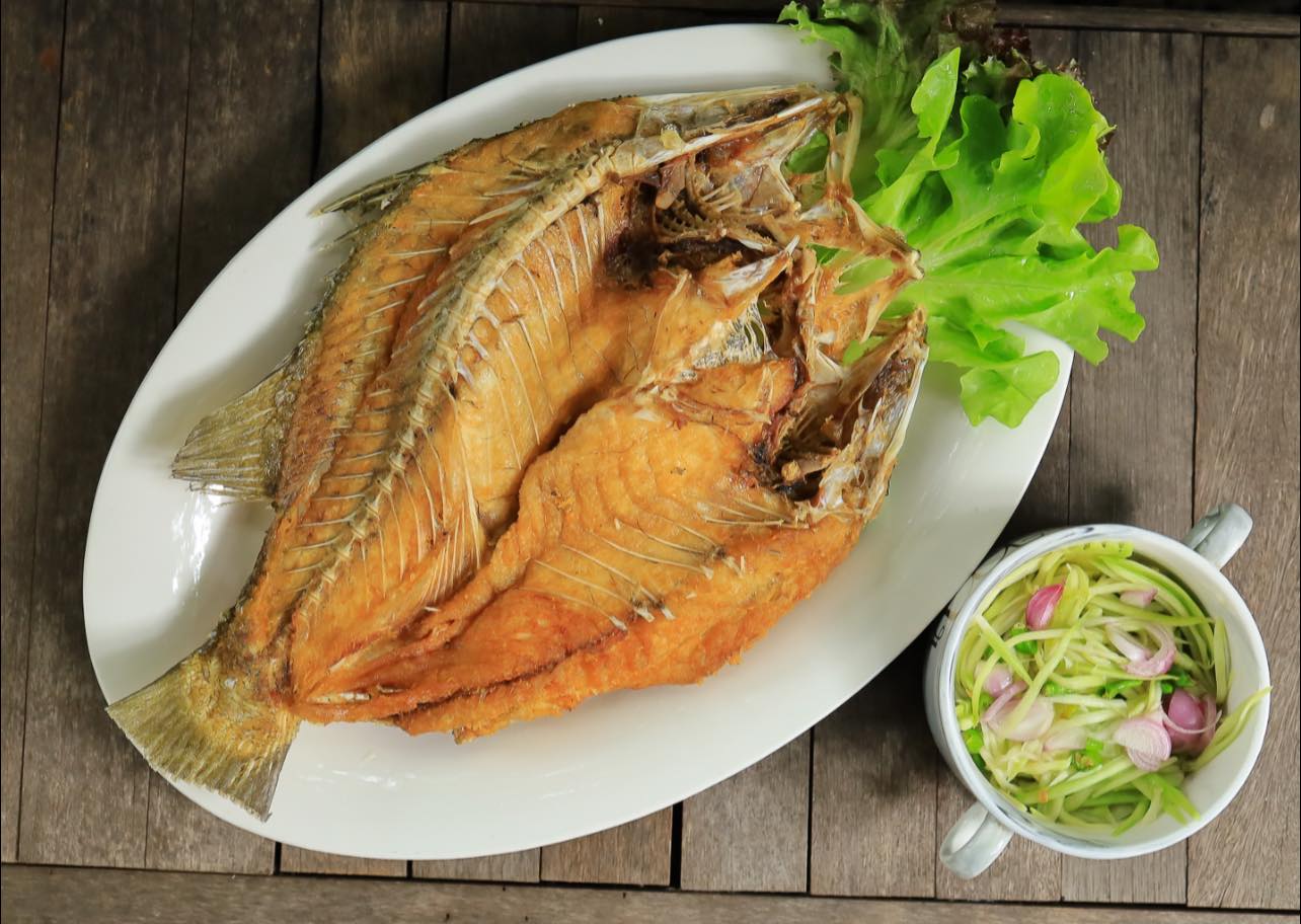 บ้านสวย ในสวน, Siam Brasserie , The Treehouse Nongchok, Natura Cafe, BaanNaiSuan Cafe&amp;Yoga, Patom, Portobello &amp; Désiré, ครัวบ้านสวนสุวรรณ, ร้านอาหารฐิตารีย์ สวนรถไฟ จตุจักร, บ้านสวน อบอวลรัก