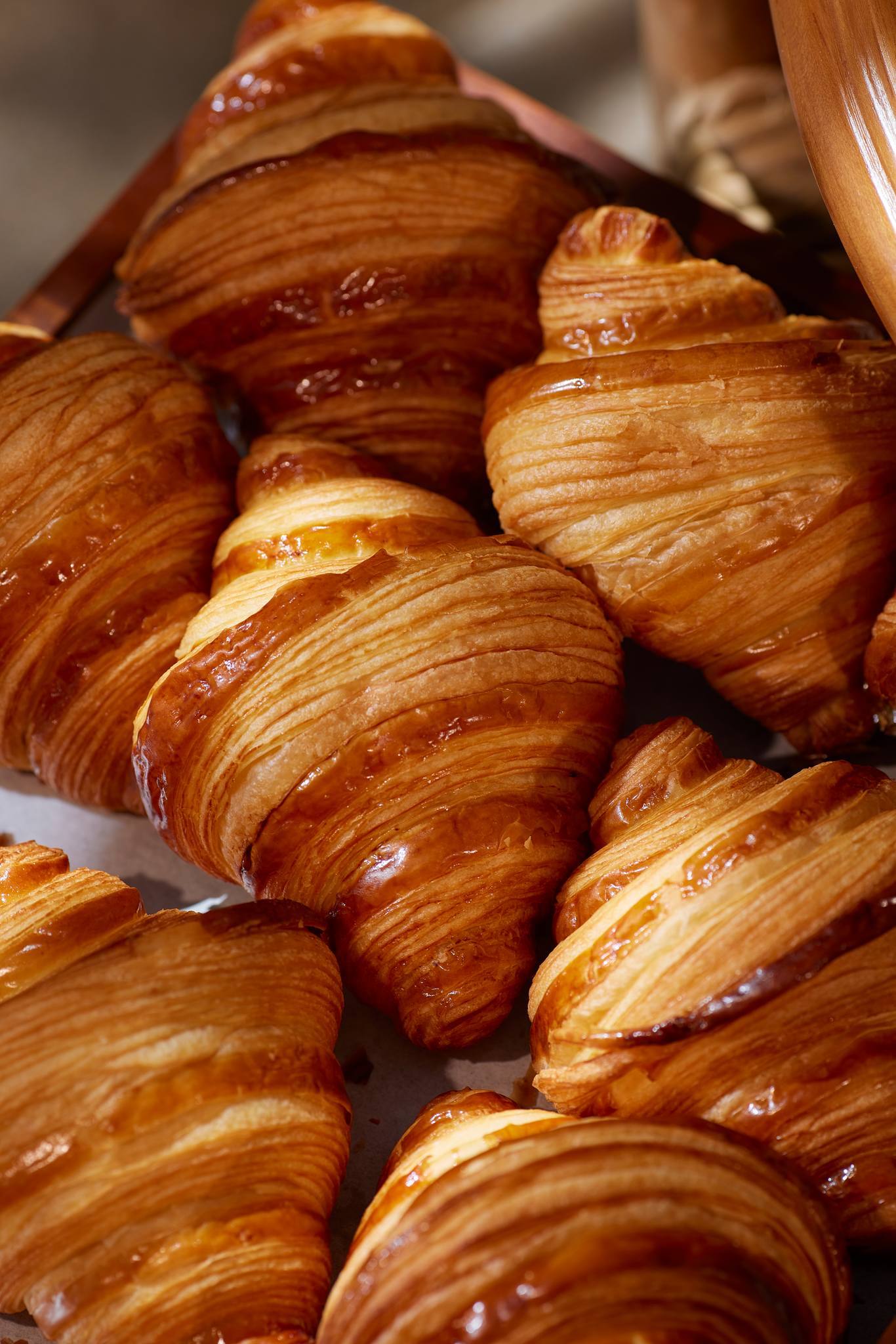 Au Bon Pain Luxe, Bijoux de Beurre Echire, นนท์รญา เบเกอรี่, Thestorycaker, Narak Café, บ้าน บ้าน 34 Home Cafe', Custard Nakamura, Baker x Florist, KEYI, Cafe Eiffel, Landhaus Bakery