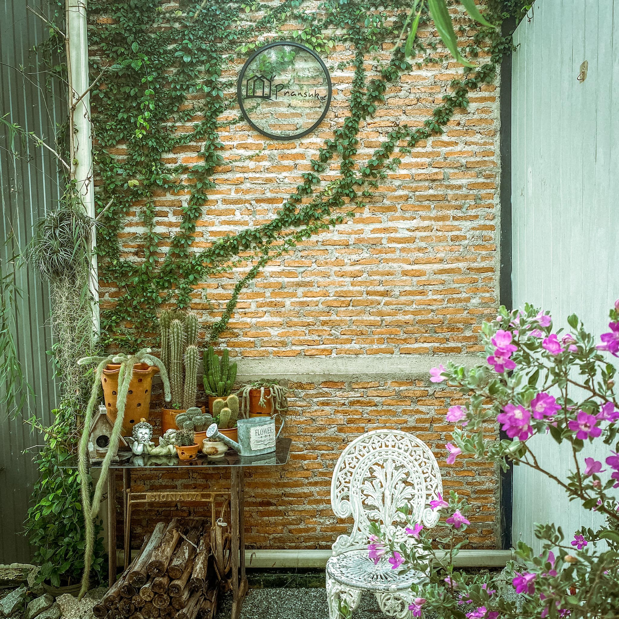 Pransuk, Khagee sriracha cafe, Manga Coffee &amp; Craft, Morning Glory Cafe, สาขาศรีราชา