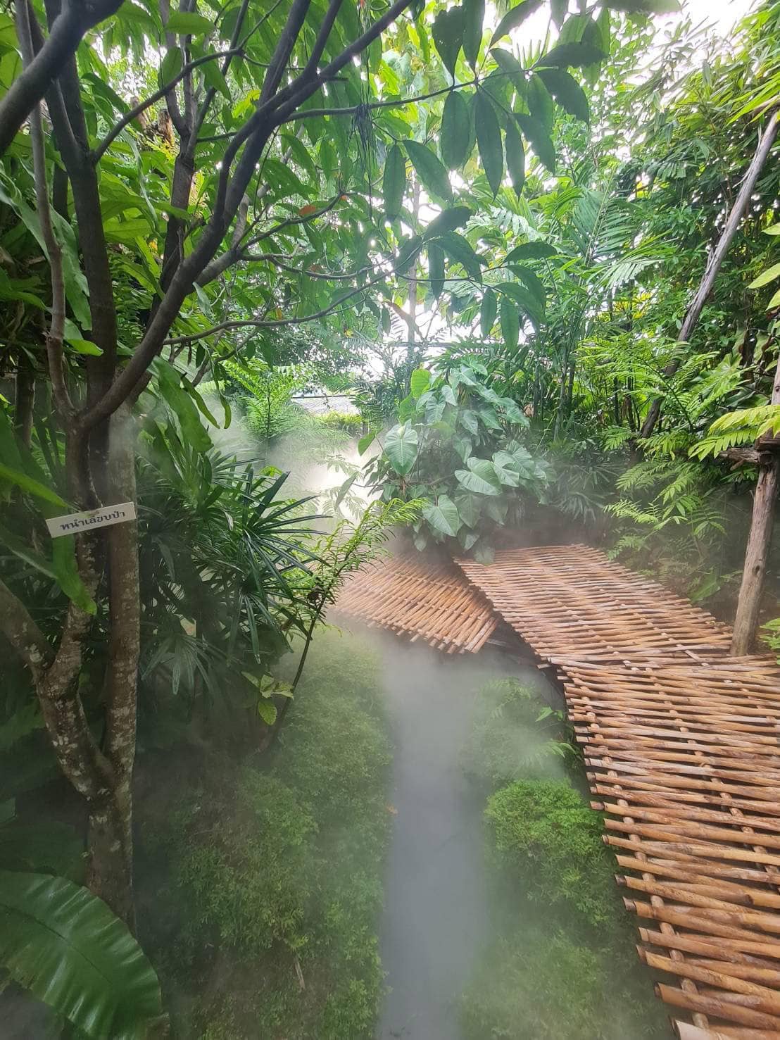 Pransuk, Khagee sriracha cafe, Manga Coffee &amp; Craft, Morning Glory Cafe, สาขาศรีราชา