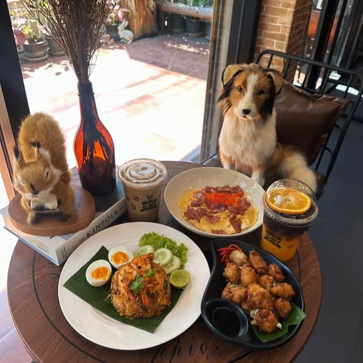 Pransuk, Khagee sriracha cafe, Manga Coffee &amp; Craft, Morning Glory Cafe, สาขาศรีราชา