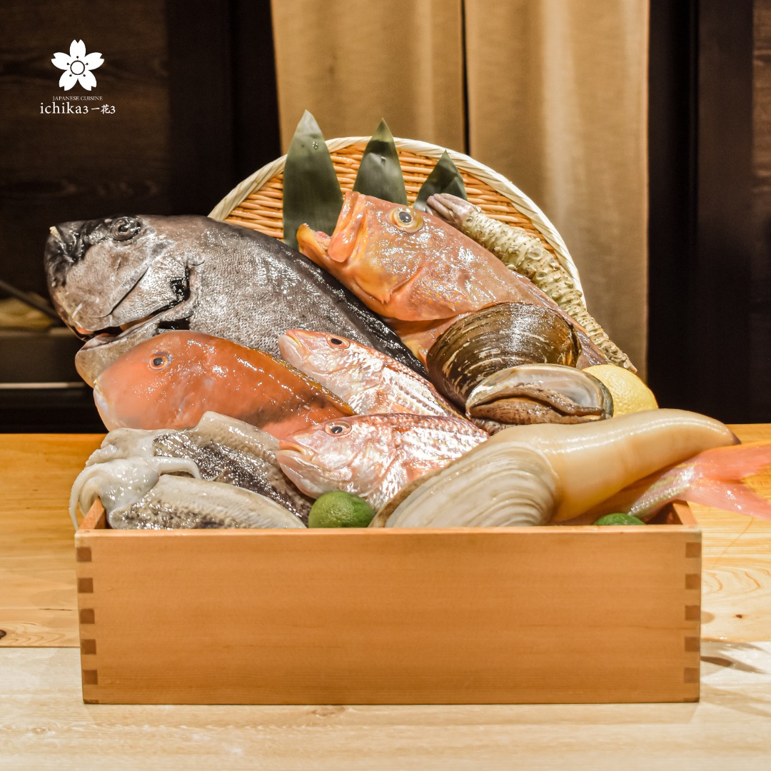 Kozue Omakase, Koko Japanese Restaurant, Karawa Omakase, Shibui Omakase ชิบูอิ, Shoko Omakase, Mono Sei Omakase, Akako Omakase, MASA - Otaru Masazushi, Homura Wagyu Omakase, Umi Gaysorn Village, Shinsei Authentic Sushi, HOSHI JAPANESE RESTAURANT สาขาพระราม 6, Ichika Omakase