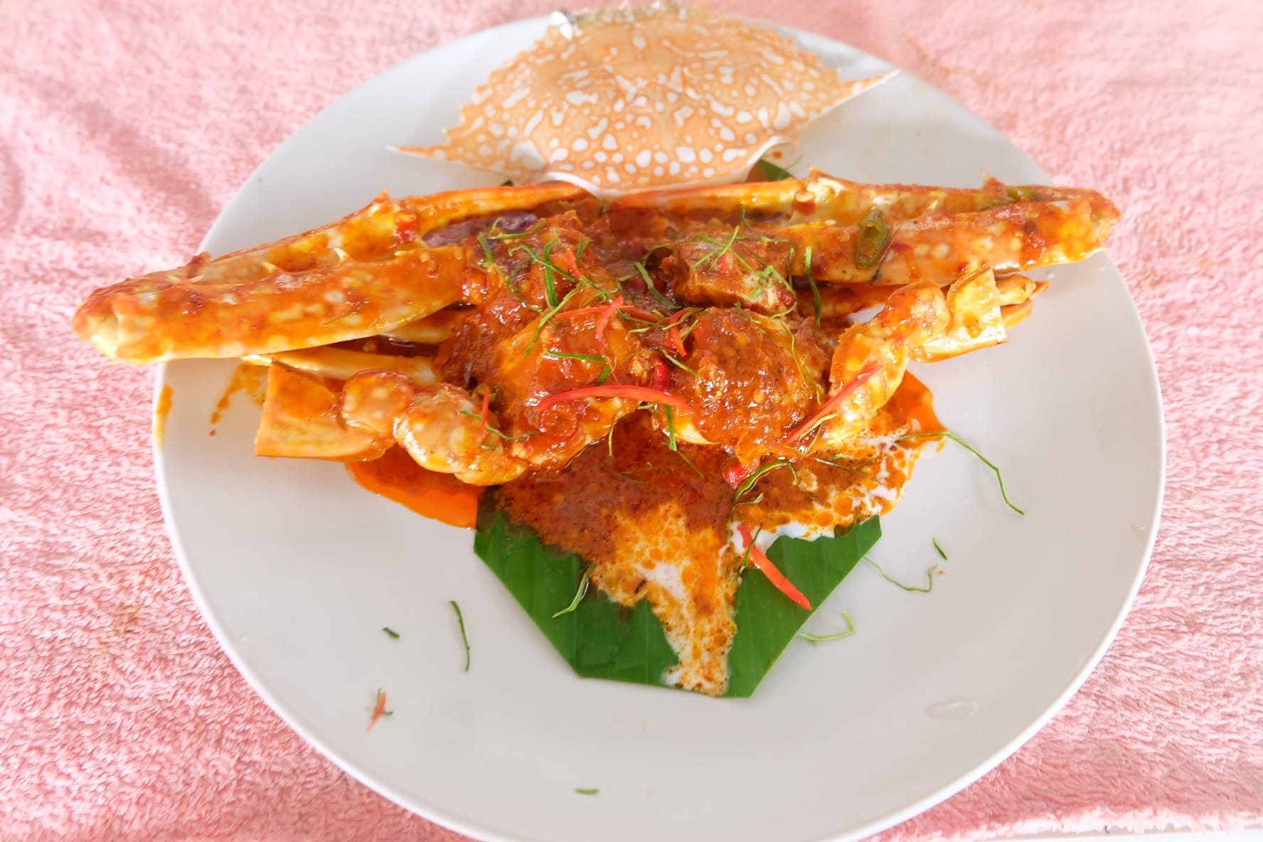 บ้านสวนลุงไข่, พี่เชษฐ์, Sawasdee-CuP Samui, ร้านอาหารข้าวหอม เกาะสมุย, ครัวชาวบ้าน, ท่าเรือสมุยซีฟู้ด, เสบียงเล, Mira Serene, โกเซ้ง เกาะสมุย, ครัวเสวยสมุย, The Roof Samui, มิสสมุย, Jam restaurant