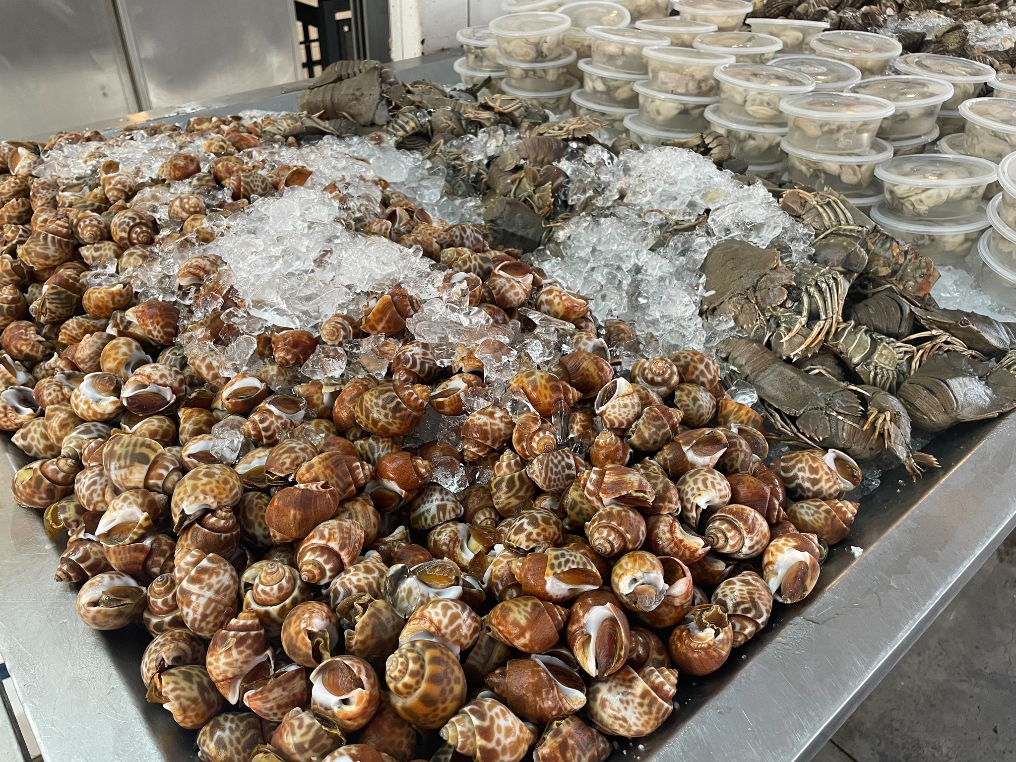 จอมเทียนทะเลเผา, Seafood Station Pattaya, อาตี๋ บุฟเฟ่ต์ ซีฟู้ด, สุดเขต ทะเลเผา, อูมามิ ชิลๆ บุฟเฟ่ต์