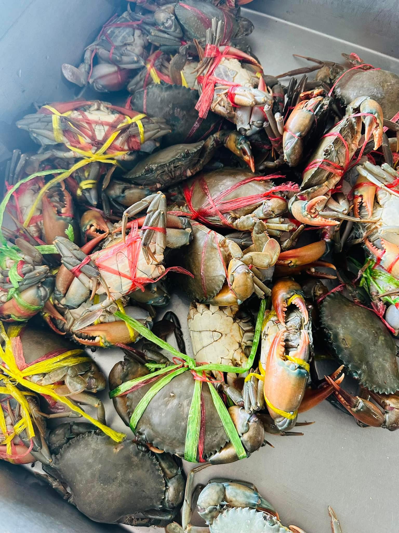 จอมเทียนทะเลเผา, Seafood Station Pattaya, อาตี๋ บุฟเฟ่ต์ ซีฟู้ด, สุดเขต ทะเลเผา, อูมามิ ชิลๆ บุฟเฟ่ต์