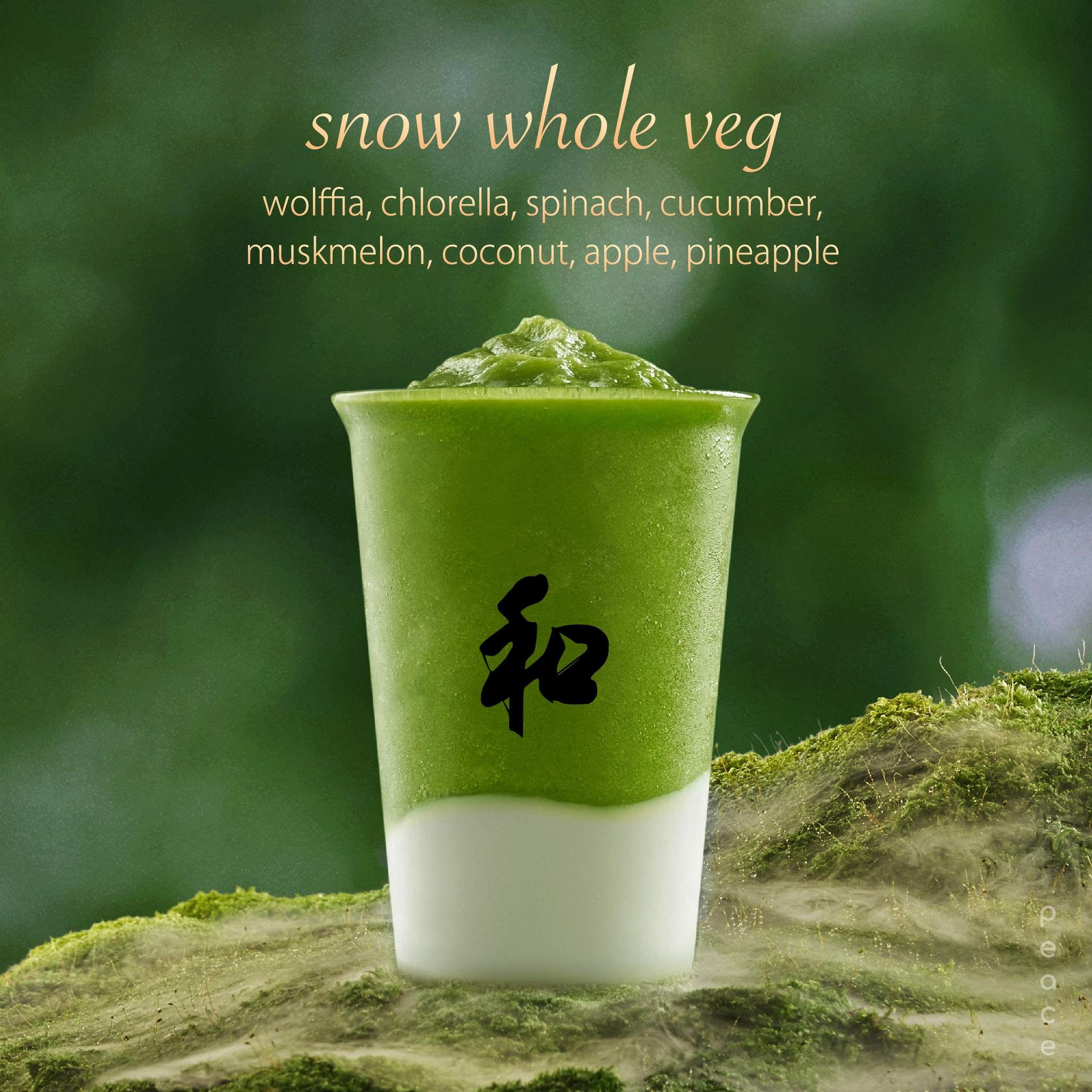 FEEL AT EASE CAFE, Norma, KERK, Peace Oriental Teahouse