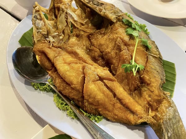 กอบัว, บ้านอาหารไทย, บ้านบัว, บ้านรั้วไม้ Cuisine &amp; Cafe, ครัวหอมมันปู, ร้านไหน อุทยานหินเขางู ราชบุรี, สวนอาหาร รางตาล, Pakmud แซ่บหมูทะ, สาขาโพธาราม, ถึงพริกถึงขิง, มะม่วงคู่, เนื้อต้มบ้านสิงห์ เจ๊ติ๋ม, โกรกแดง, ชุมทางของอร่อย, Mainichi365, Octospider restaurant, Lim cafe Photaram, ครัวตะนาวศรี สวนผึ้ง ราชบุรี, อาตี๋โกปี๊, โอปอชิฟฟ่อนเค้ก, ก๋วยเตี๋ยวปลาแม่กลอง, ติ๋มเค้กมะพร้าวอ่อน, ก๋วยเตี๋ยวโบราณป้าฮวย, โอ่งข้าวโอ่งน้ำ, ครัวม่อนไข่ สวนผึ้ง ราชบุรี, ShabuDo