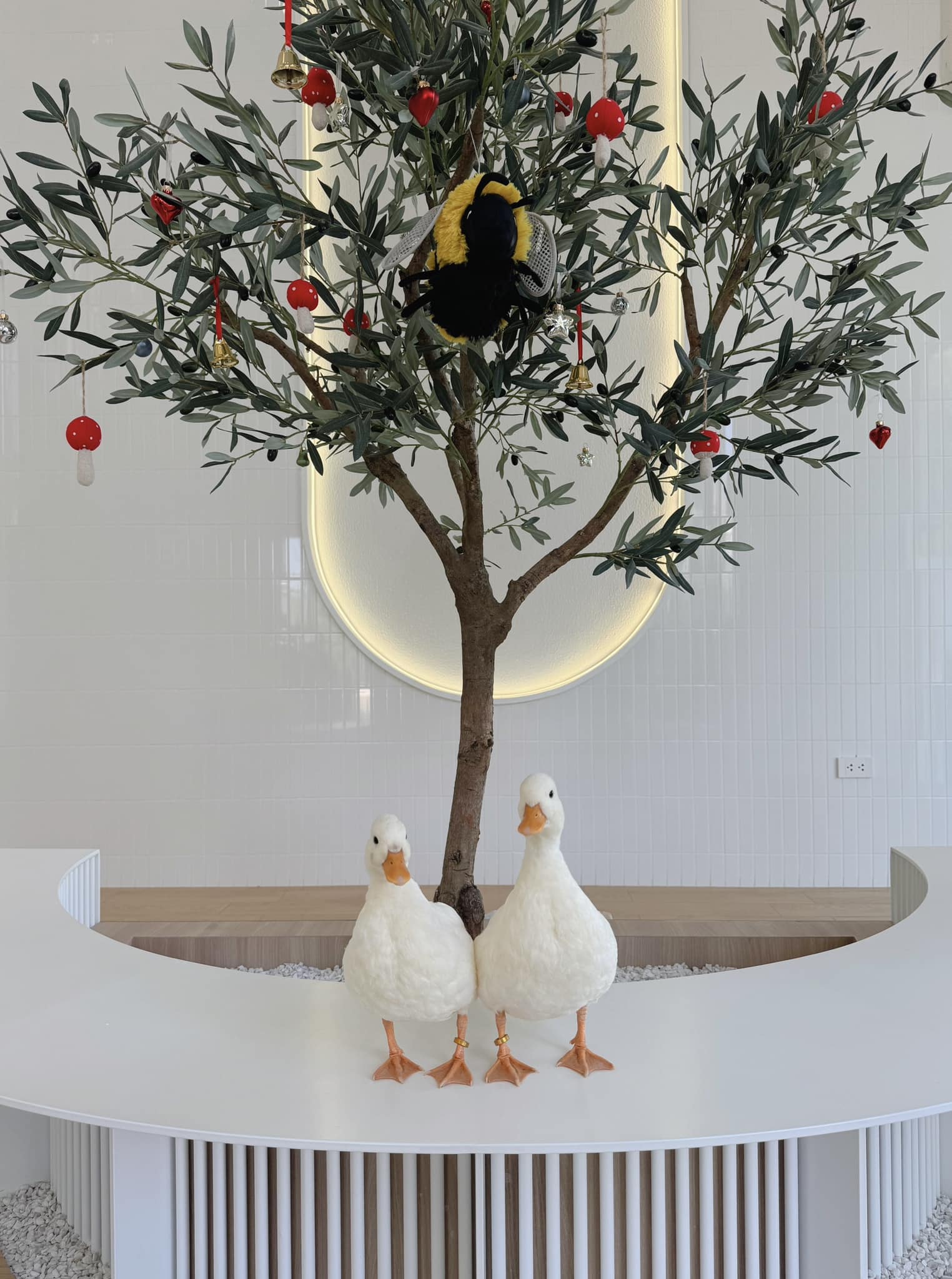 FEEL AT EASE CAFE, Norma, KERK, Peace Oriental Teahouse