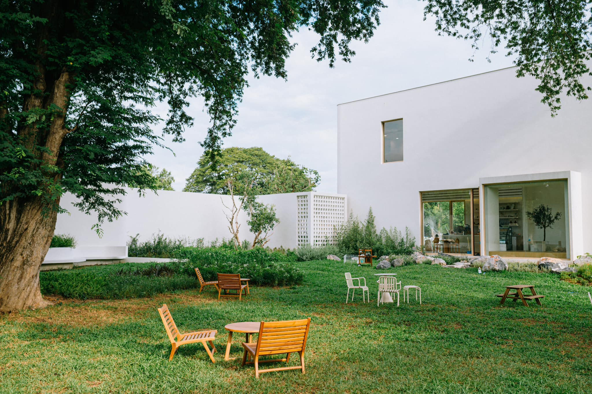 FEEL AT EASE CAFE, Norma, KERK, Peace Oriental Teahouse