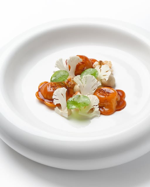 Ms.Jigger, Contento, SIWILAI CITY CLUB, ARTUR Restaurant, CLARA, Place Bangkok, YELLOW ROOF, Cat on the roof, Samsen Villa