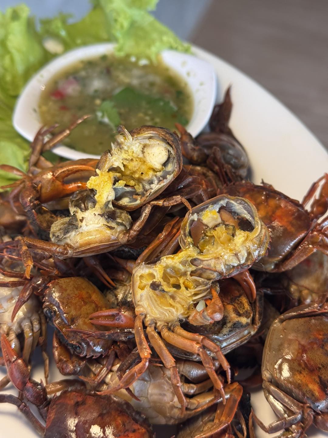 กอบัว, บ้านอาหารไทย, บ้านบัว, บ้านรั้วไม้ Cuisine &amp; Cafe, ครัวหอมมันปู, ร้านไหน อุทยานหินเขางู ราชบุรี, สวนอาหาร รางตาล, Pakmud แซ่บหมูทะ, สาขาโพธาราม, ถึงพริกถึงขิง, มะม่วงคู่, เนื้อต้มบ้านสิงห์ เจ๊ติ๋ม, โกรกแดง, ชุมทางของอร่อย, Mainichi365, Octospider restaurant, Lim cafe Photaram, ครัวตะนาวศรี สวนผึ้ง ราชบุรี, อาตี๋โกปี๊, โอปอชิฟฟ่อนเค้ก, ก๋วยเตี๋ยวปลาแม่กลอง, ติ๋มเค้กมะพร้าวอ่อน, ก๋วยเตี๋ยวโบราณป้าฮวย, โอ่งข้าวโอ่งน้ำ, ครัวม่อนไข่ สวนผึ้ง ราชบุรี, ShabuDo