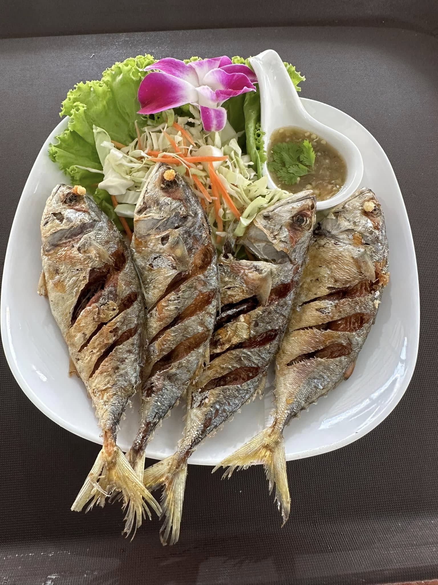 Pop View, ครัวบ้านกลางทะเล, Ripple Sea, ร้านลับหมึกช๊อต อ่าวอุดมซอย17, ร้านป๋าดำซีฟู้ด, ป้าแอ๊ดซีฟู๊ด, ติดดินซีฟู้ด, มุมอร่อย ศรีราชา, TOH CREW, เรือนน้ำซีฟู๊ด ศรีราชา, ครัวทะเล จันผา, ร้านอาหาร เฒ่าทะเล ซีฟู๊ด อ่าวอุดม, ร้านป้อมกินแล้วรวย