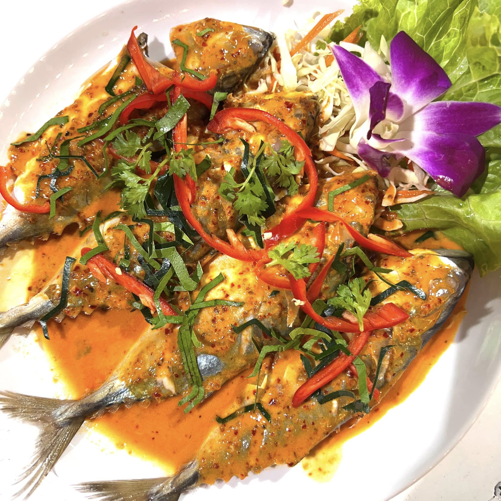 Pop View, ครัวบ้านกลางทะเล, Ripple Sea, ร้านลับหมึกช๊อต อ่าวอุดมซอย17, ร้านป๋าดำซีฟู้ด, ป้าแอ๊ดซีฟู๊ด, ติดดินซีฟู้ด, มุมอร่อย ศรีราชา, TOH CREW, เรือนน้ำซีฟู๊ด ศรีราชา, ครัวทะเล จันผา, ร้านอาหาร เฒ่าทะเล ซีฟู๊ด อ่าวอุดม, ร้านป้อมกินแล้วรวย