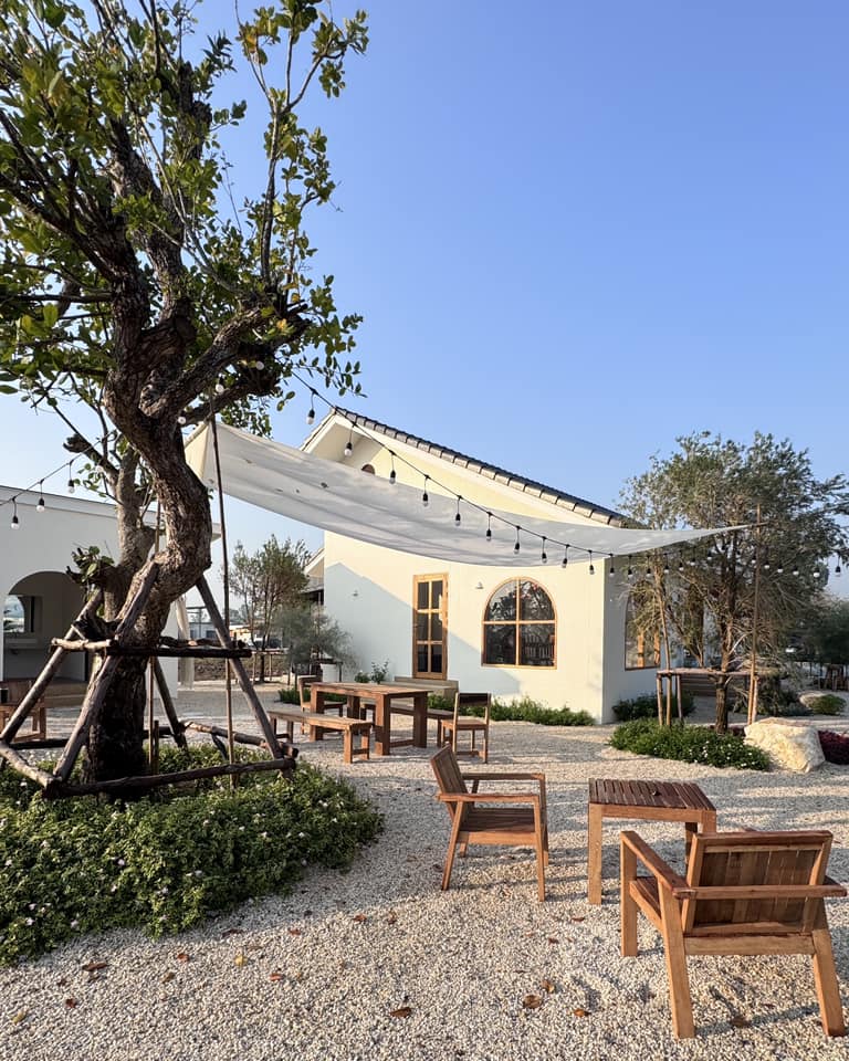 Rainforest Cafe Bangkok, Fah cafe and more, Obsessed brew'bar, Glo bkk, Define Cafe