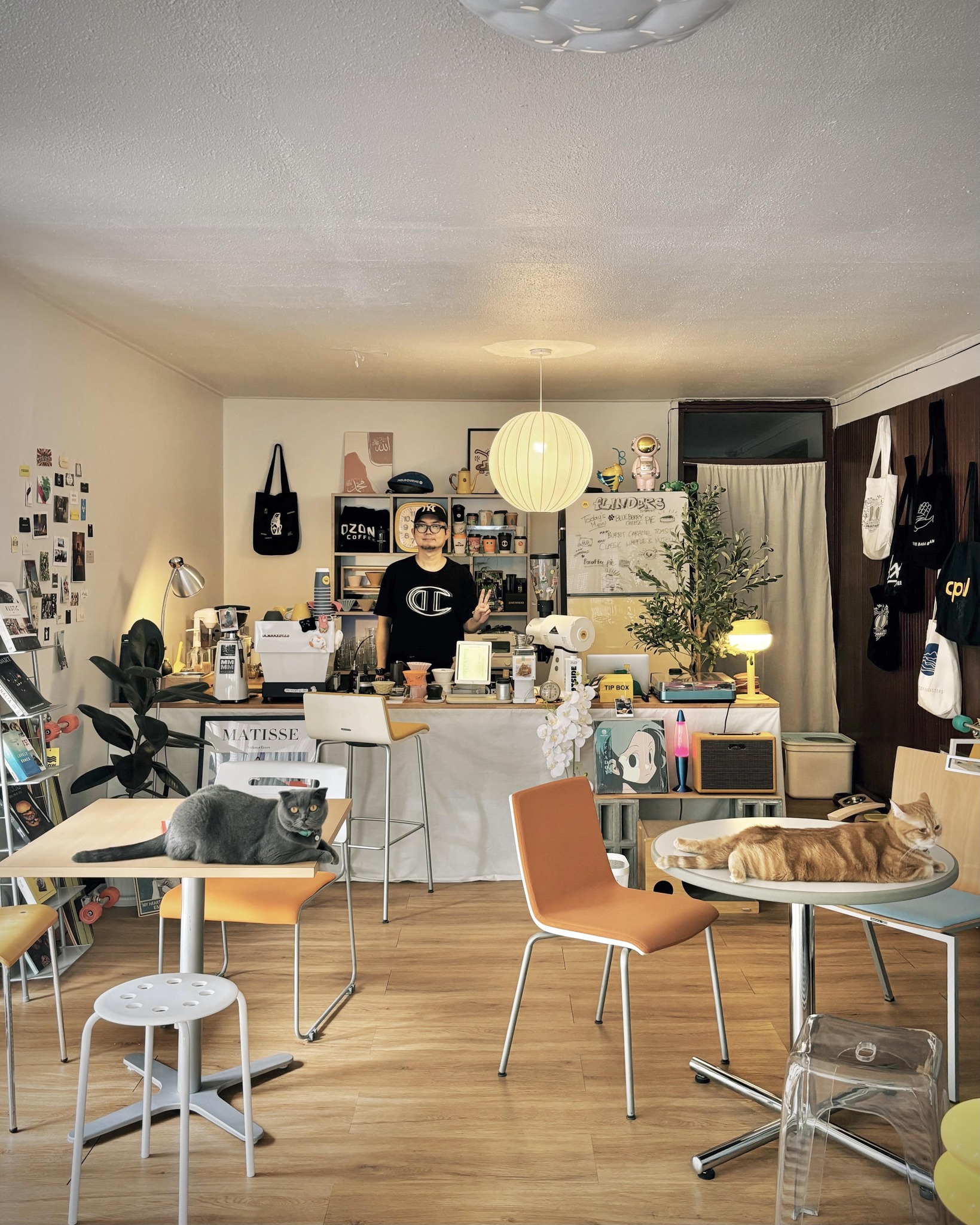 Flinders Street Cafe, Simplycafebkk, Neighbor cats koff bar, Bunnierista, Blend cafe, Hatchery, SEVENDAYS cafe & bakehouse, Smith & Rabbit Cuisine