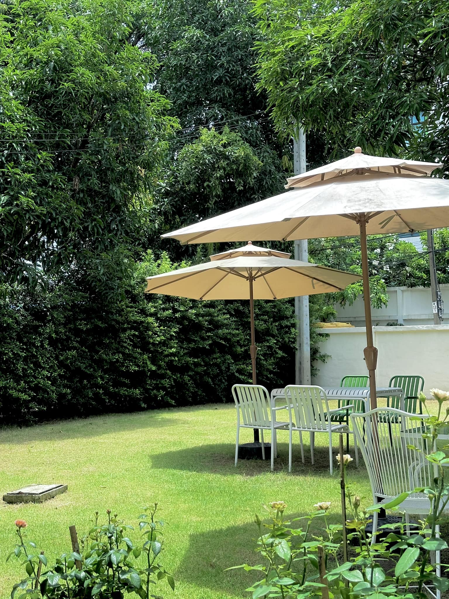 sisterhood.cafe, Dripster HOUSE café, Wood Rather, Sanyongcafe, คลองอ้อมคาเฟ่