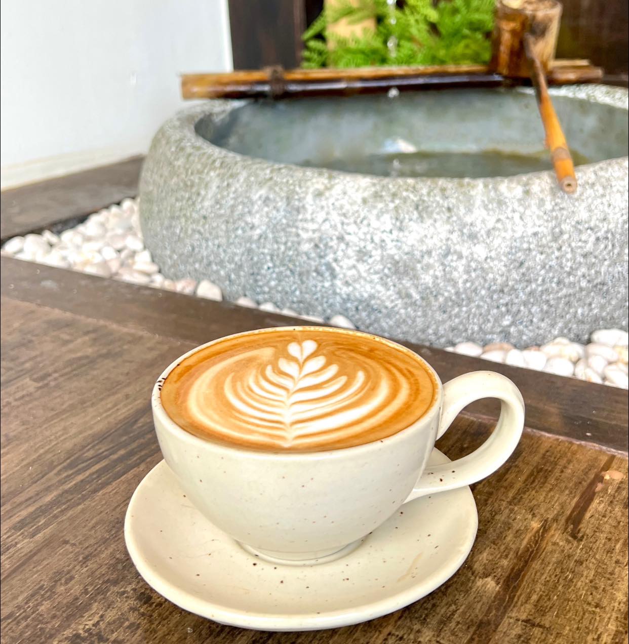 MOONSTo̲̲NE, Bread Crumbs Cafe, Happy Cafe and Minifarm, เสื่อผืน หมอนใบ, WA-Phuket, Honest Coffee &amp; Service, Grove Phuket, RYN, DouBrew Coffee &amp; Craft, The Tent, หนัง(สือ)2521