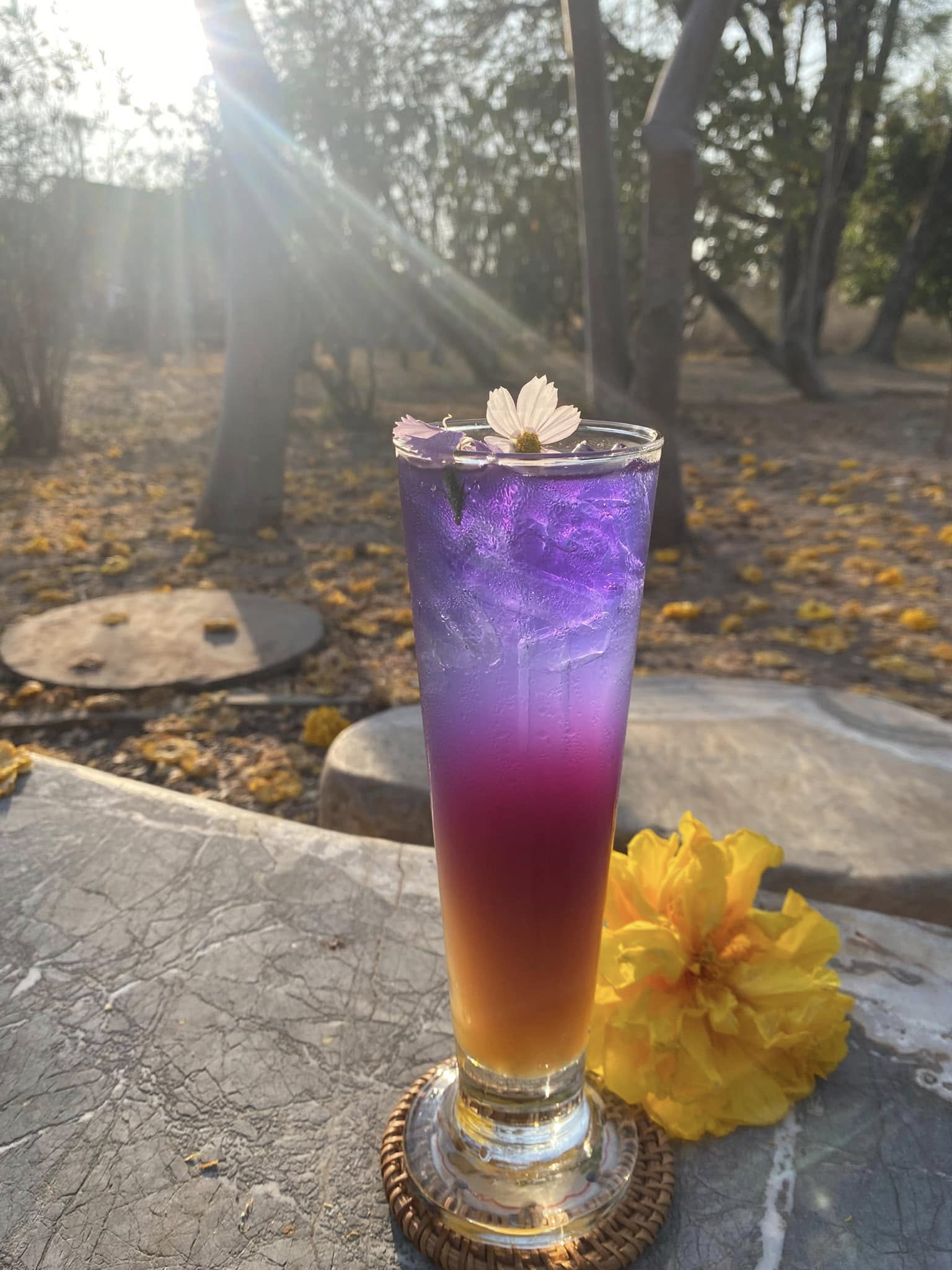 Beans And Beats KKC, Engmore KKC, Srisook Kaffe', Crusty Bakehouse, EKIA, Dopecoffeekkc, The letter จดหมายรัก