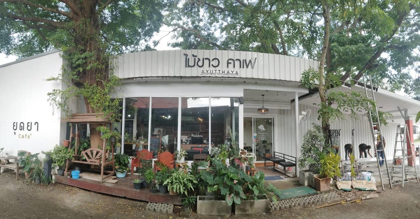 NAYA Cafe, Krasai.cafe, Sanoh at Ayutthaya, ชีวาคาเฟ่, FENG, Tewa Cafe Ayutthaya, Homeboy, PRANG VIEW, Peko Peko Cafe - ペ コ ペ コ, A Lovely Table, Busaba Cafe &amp; Meal, WIWA House Cafe', The Summer House, Phoyard, Cafe' de Zia, Café Kantary Ayutthaya, บ้านข้าวหนม, Basic Space Coffee, Cafe'Trifecta, ในคลองคาเฟ่, ไม้ขาวคาเฟ่ ayutthaya, ชงนวล'Cafe