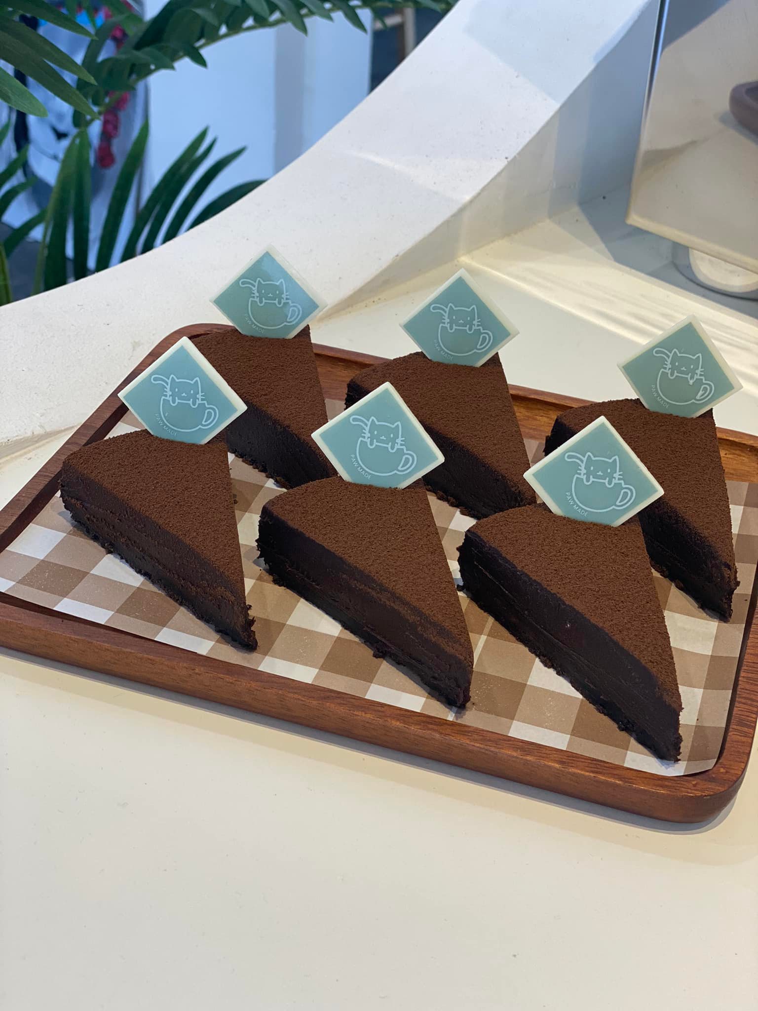 Treespresso cafe, Vigie Sist Café, Aki Choux Cream, Polaris Sunrise Café, MOJI Pool.Villa.icecream, MYTH OVEN, KonJohn coffee slowbar, Eleven Pillar Site, Home’S, Koffandthings.th, Playworks.cafeart, Tree of Life Cafe, Kramfeine, Millilit Cafe, TOMATO.cafe.cnx, MITTE MITTE, Soul Café mju, ZOHNG Coffee, ALSO cafe, Coffee Ngeggee, Graincafe.cnx, Later on cafe, สุขพอดี, FERN FOREST CAFÉ, Forest Bake, ภูฟิน, CHEEVIT CHEEVA, GoodVibes Cafe-Cnx, Chic 39, Zombie Café, Ristr8to, Neo Cafe', ชมนกชมไม้, เก้าคาเฟ่ นิมมาน